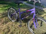 Roadmaster Mountain Bike - Image 5