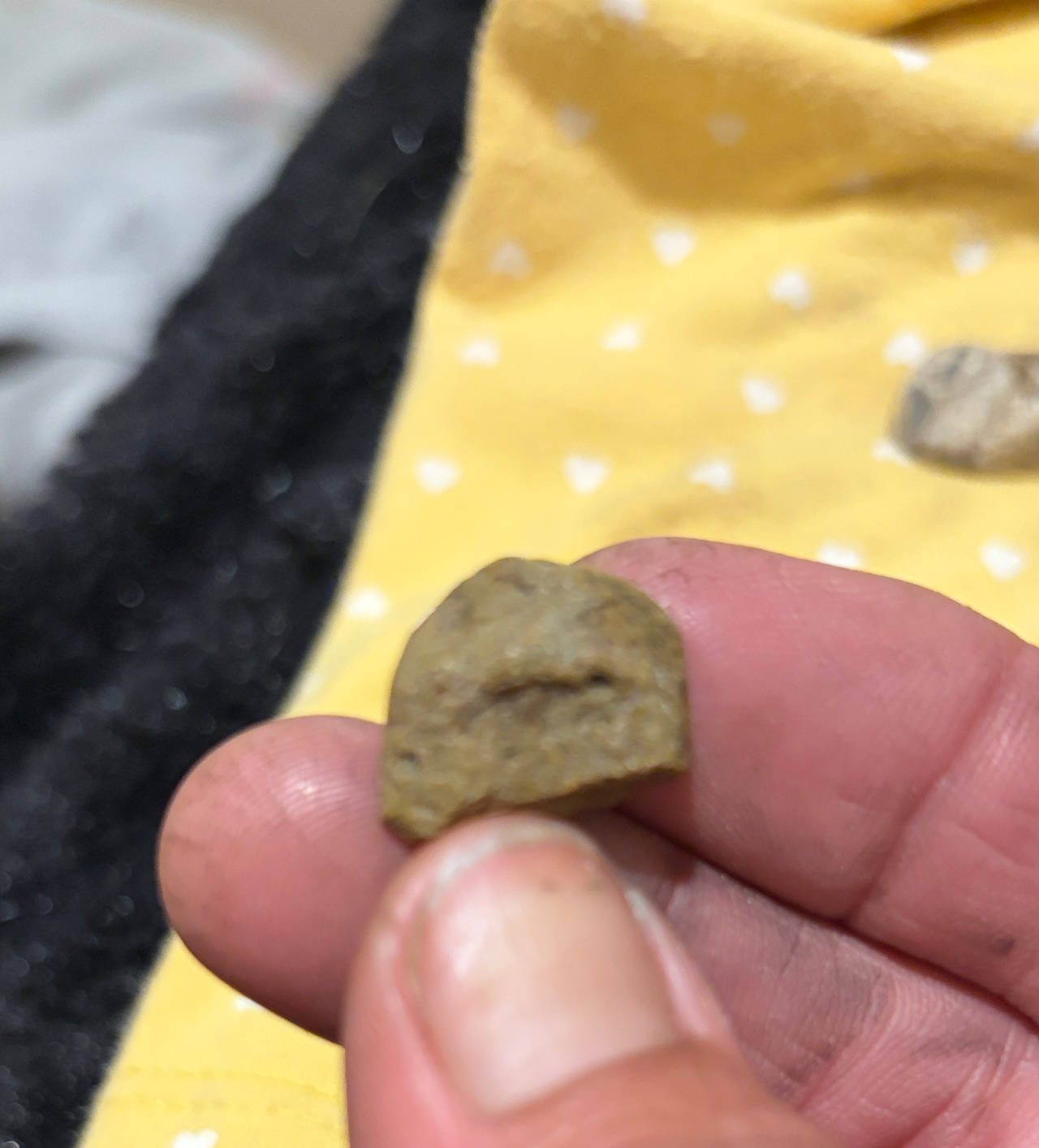 Civil War Era Lead Bullet Relic