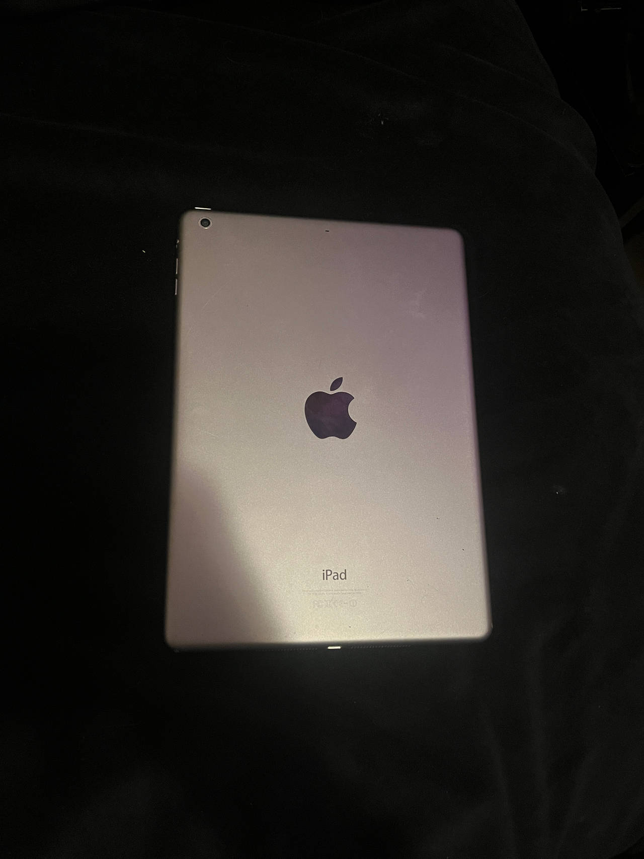 Apple iPad