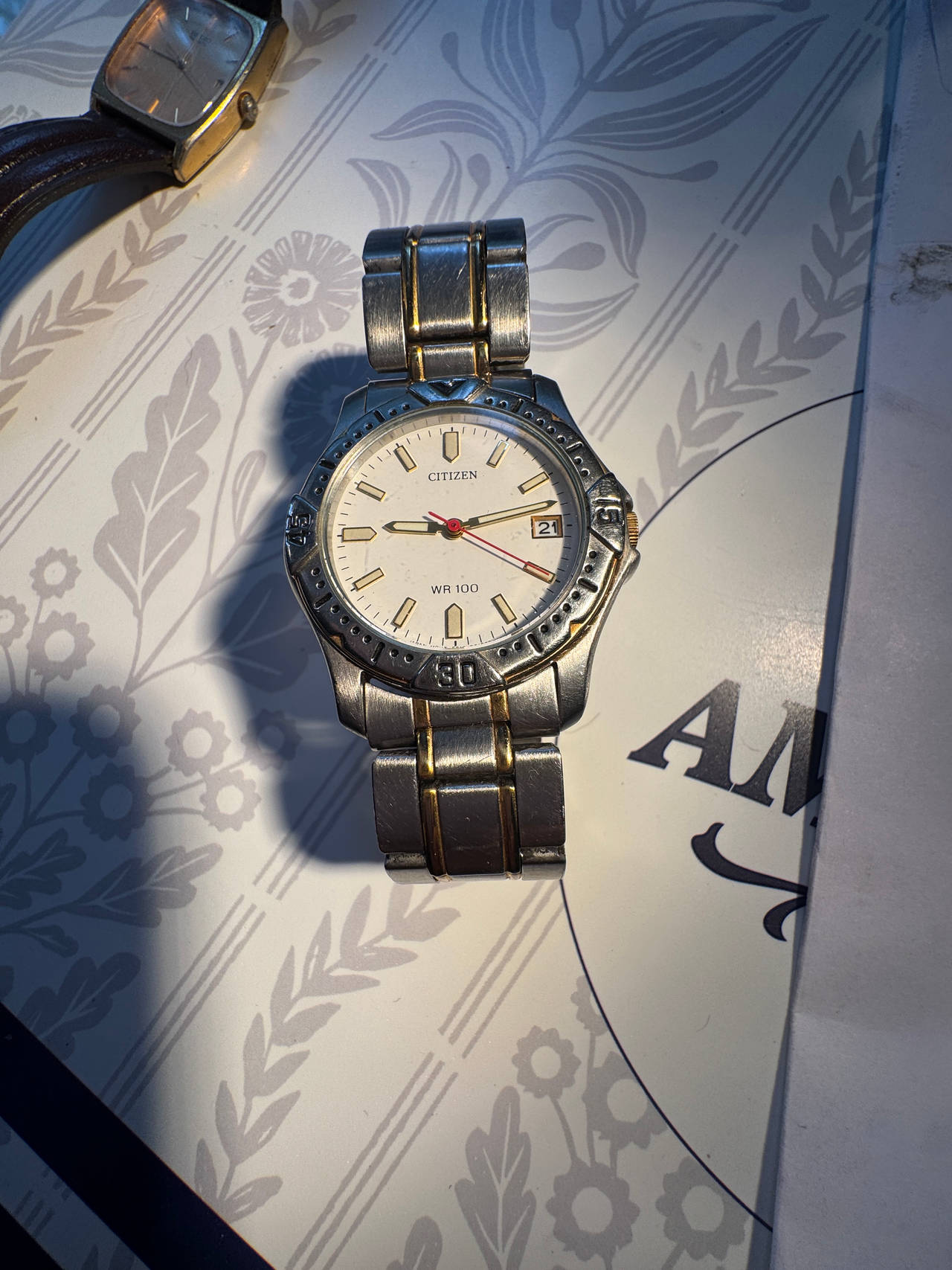 Citizen WR 100 Watch