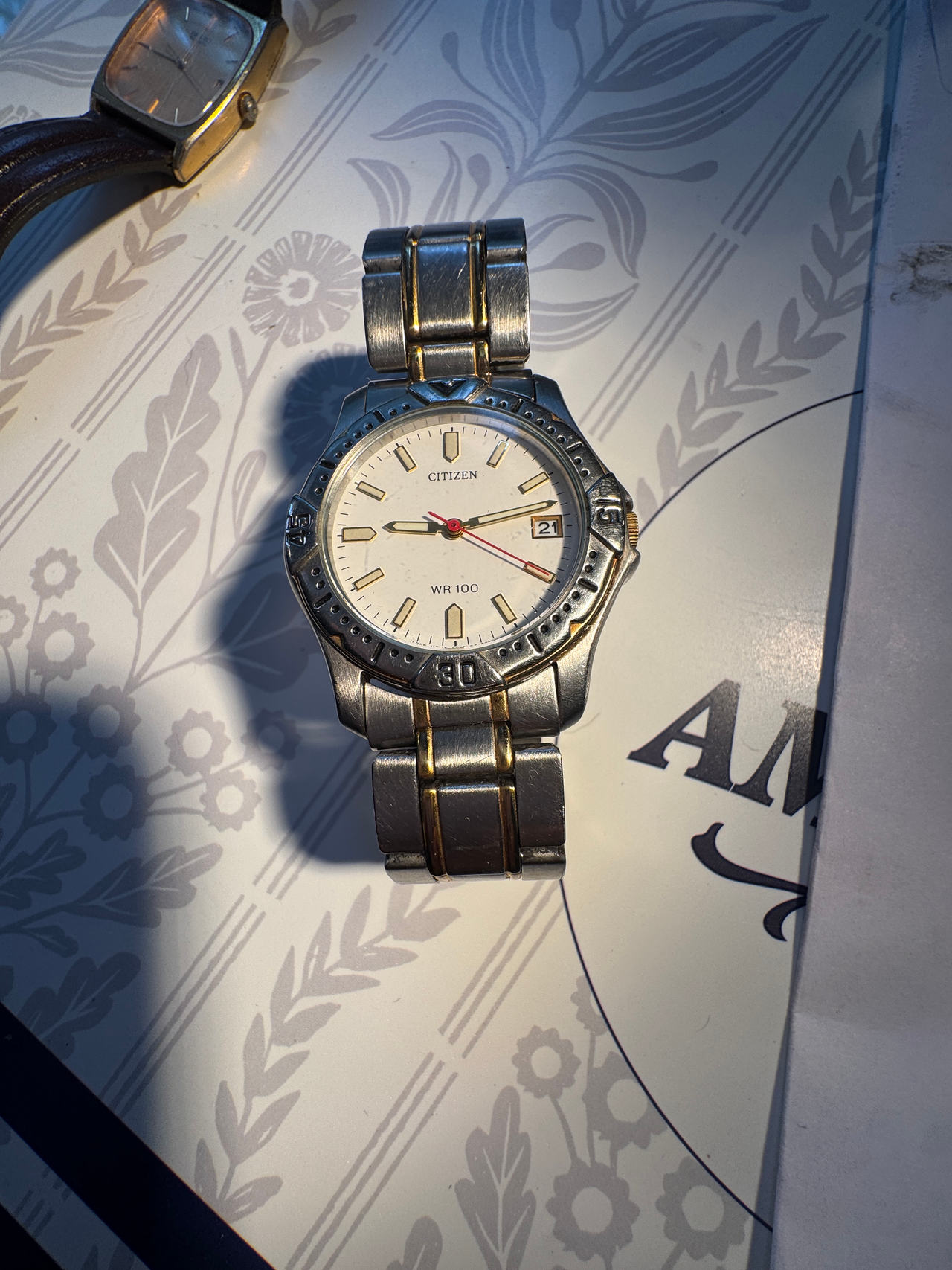 Citizen WR 100 Watch