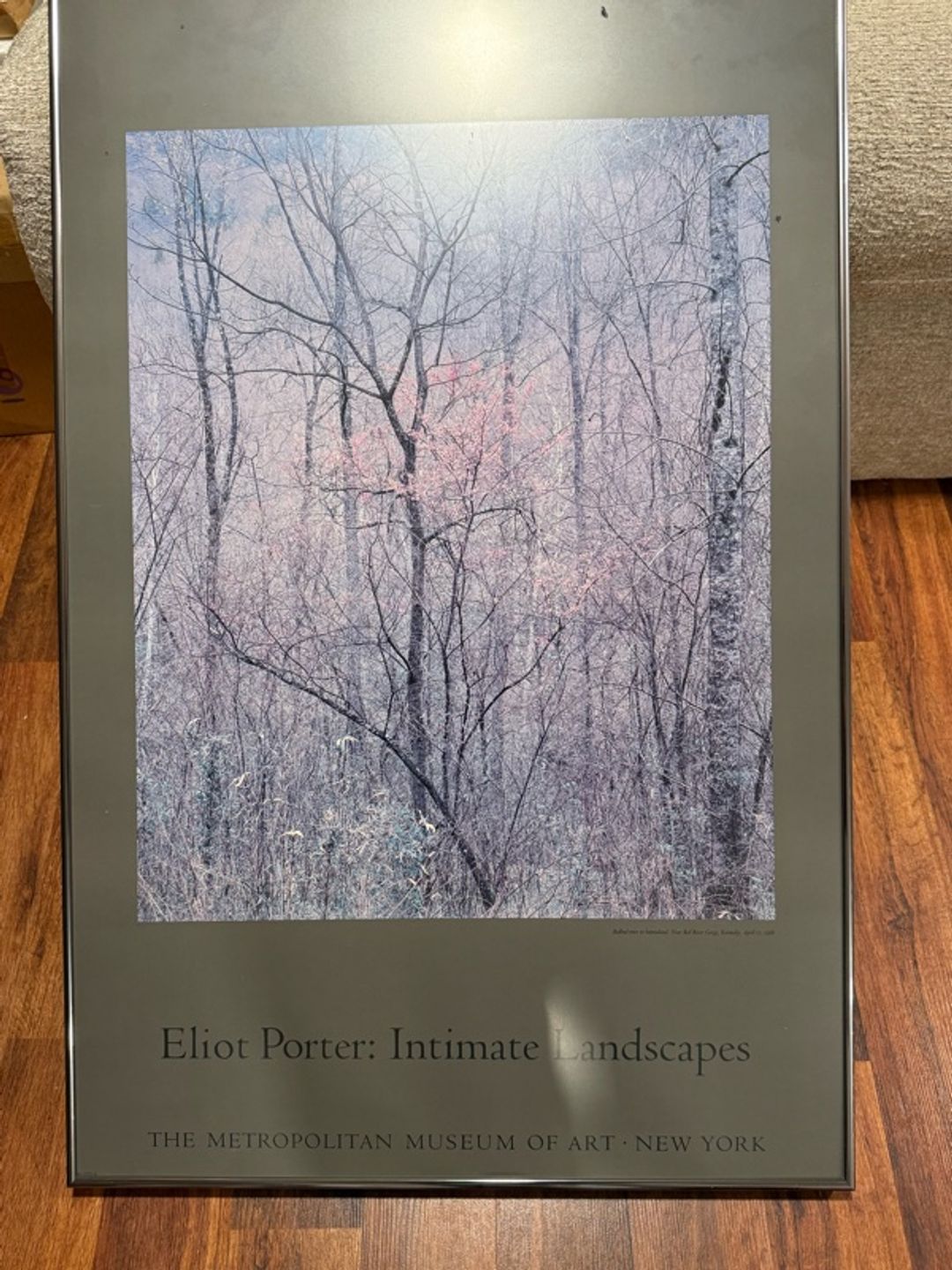 Eliot Porter Intimate Landscapes