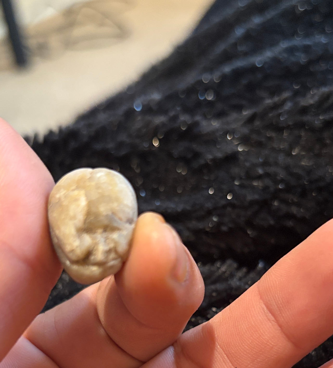 Hand Carved Stone Skull Pocket Charm