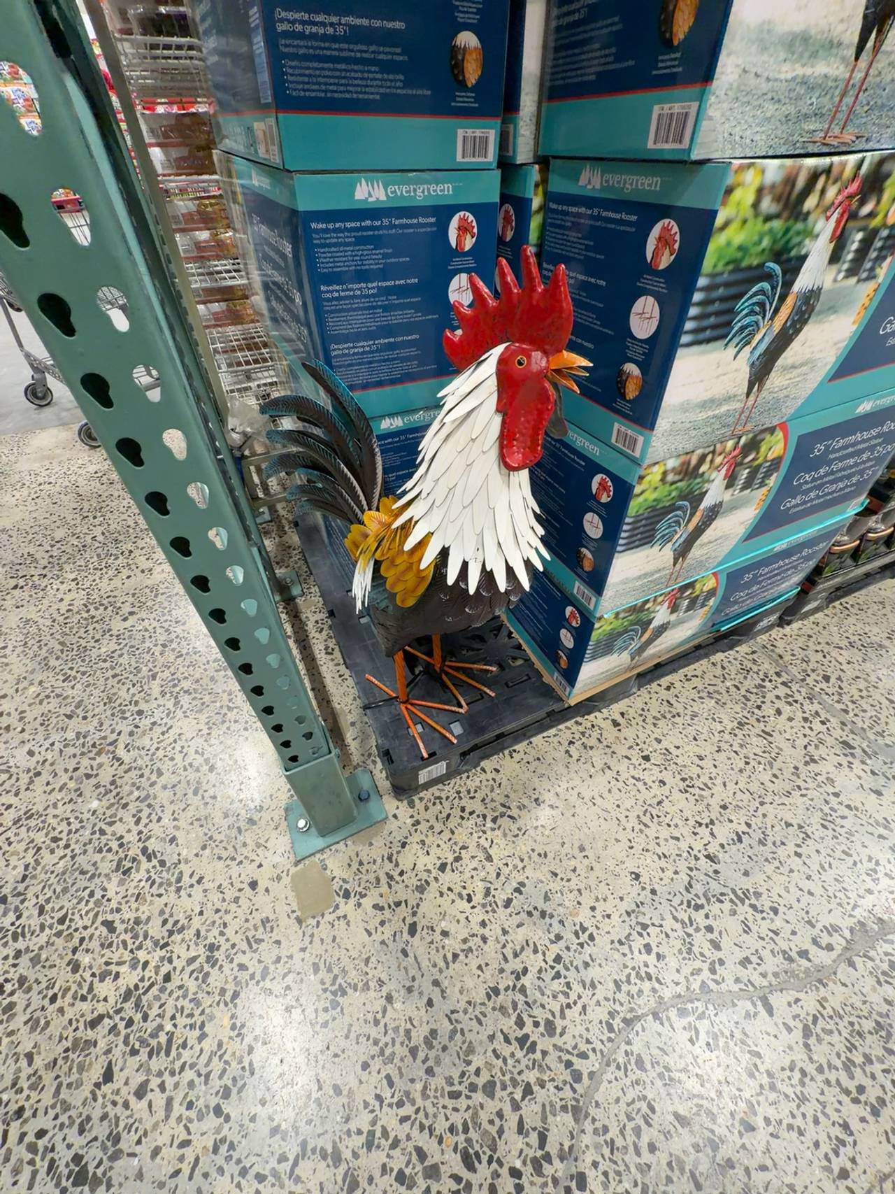 Enakshi Metal Rooster Garden Statue