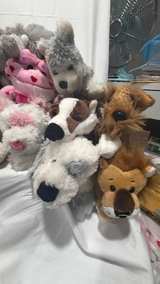 Webkinz Plush Stuffed Animal Lot of 13 without codes - Image 2