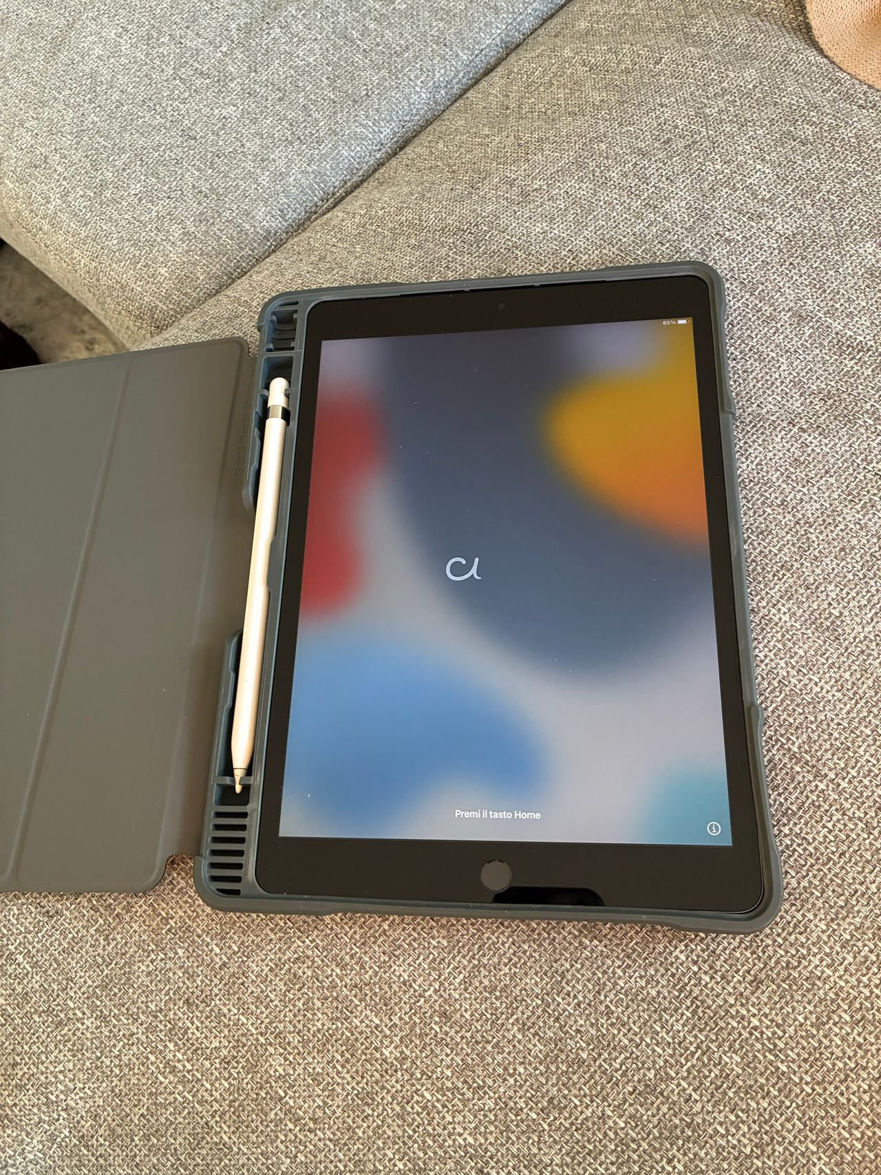 Apple iPad (9th generation) 256 Gb with case and Apple Pencil