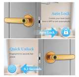 Evanshow Smart Fingerprint Door Handle Lock - Image 5