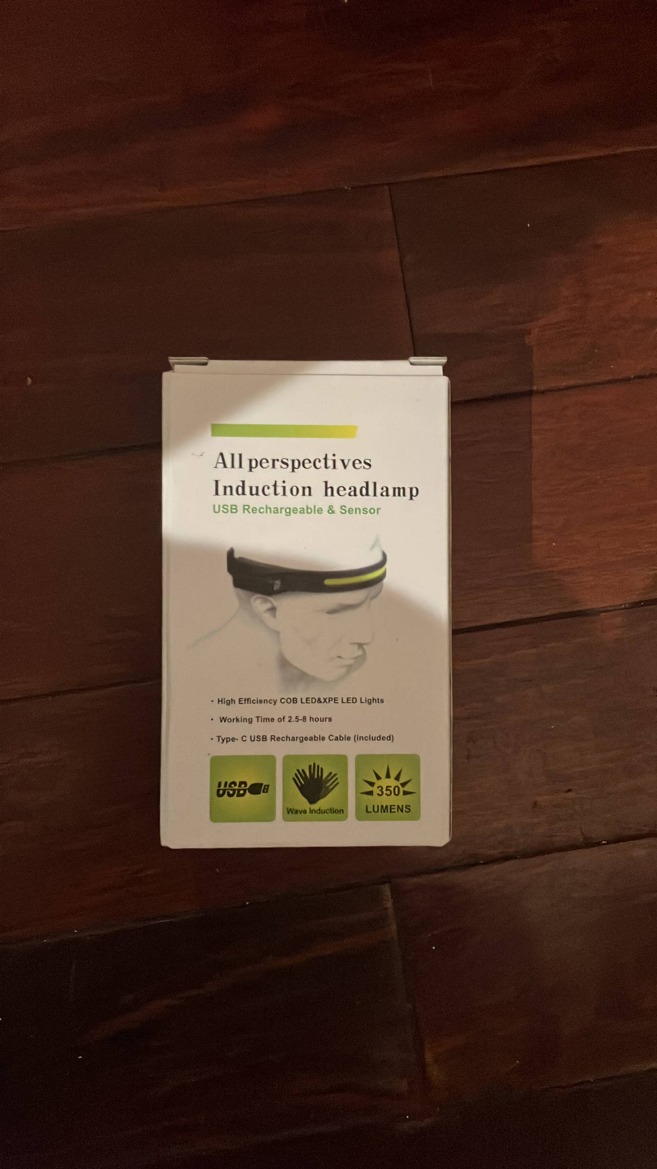 All Perspectives Induction Headlamp