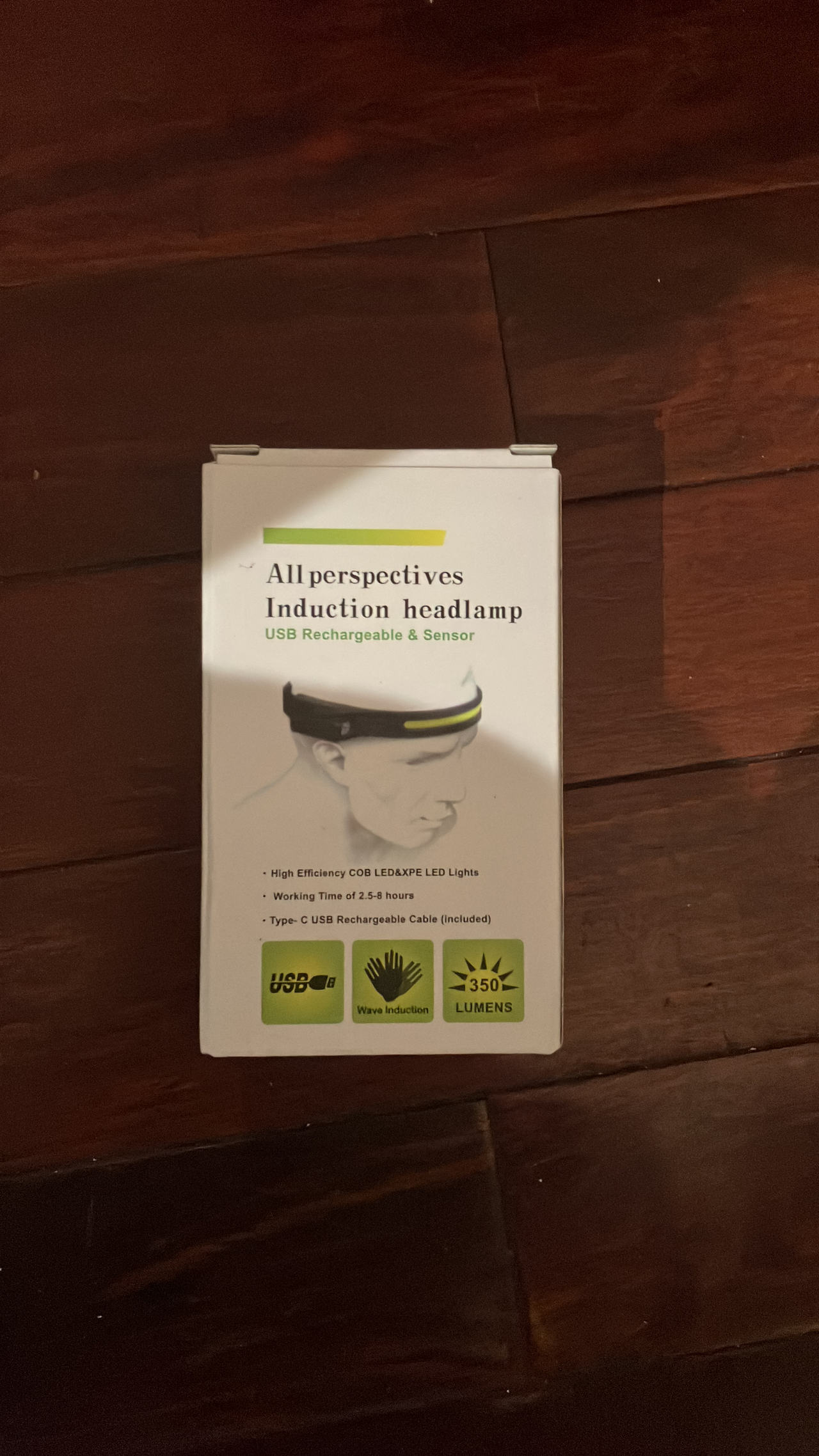 All Perspectives Induction Headlamp