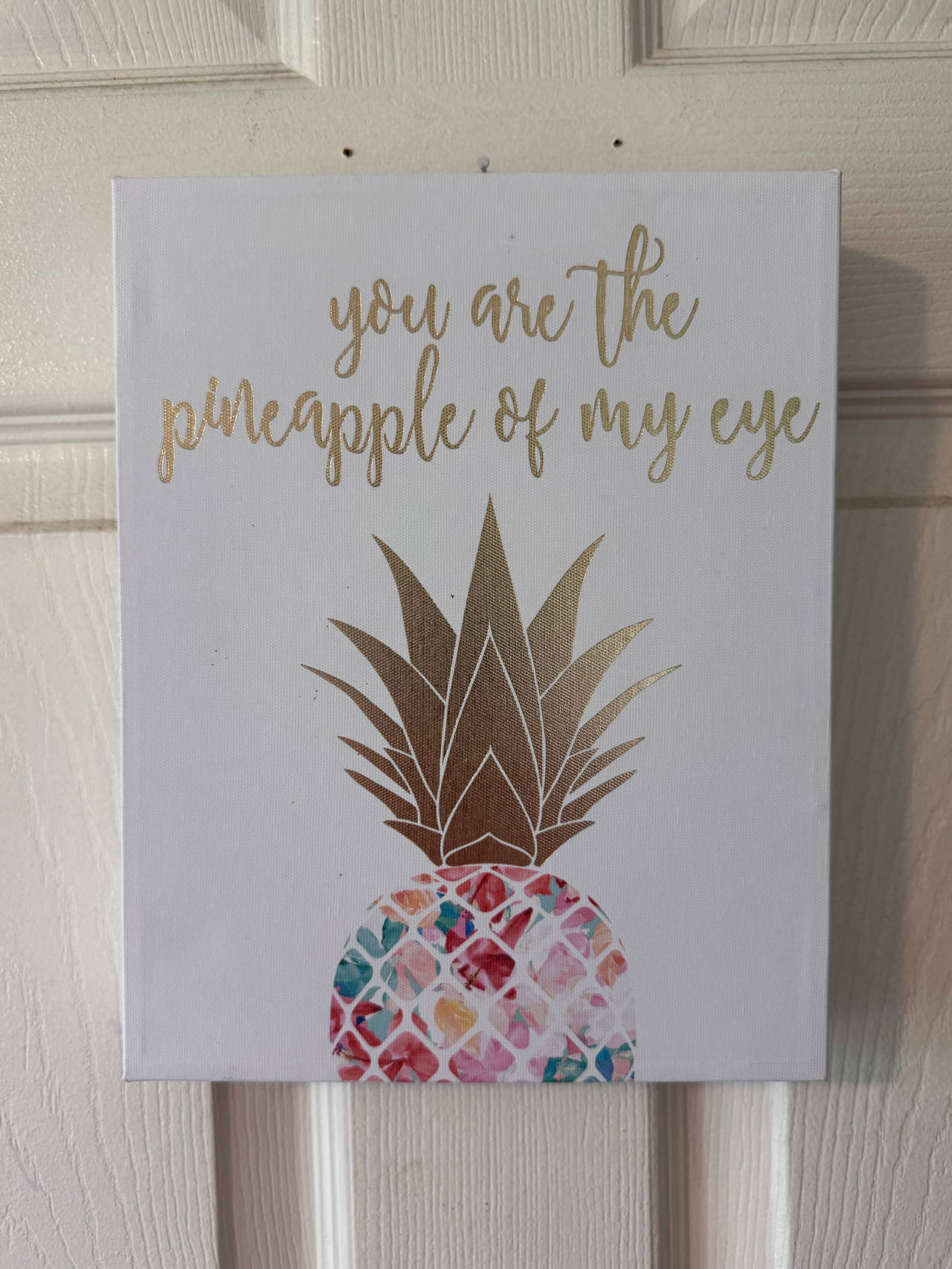 You Are The Pineapple Of My Eye Canvas Wall Art