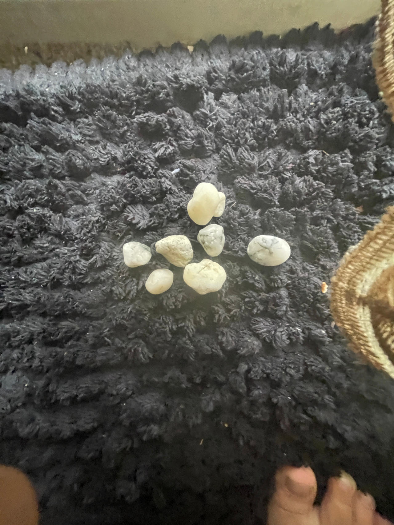 White Decorative Pebbles