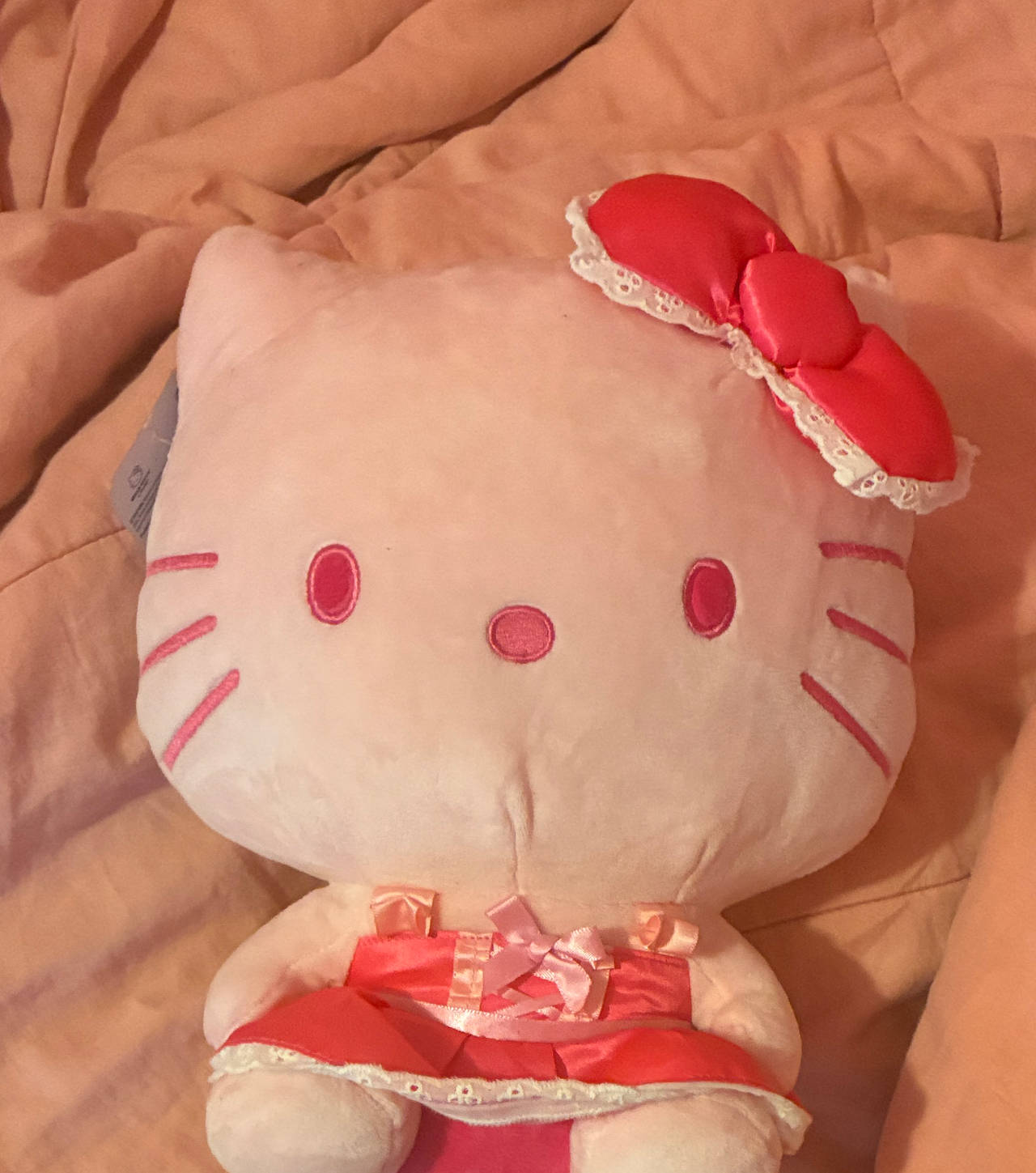 Sanrio Hello Kitty Pink Plush Doll
