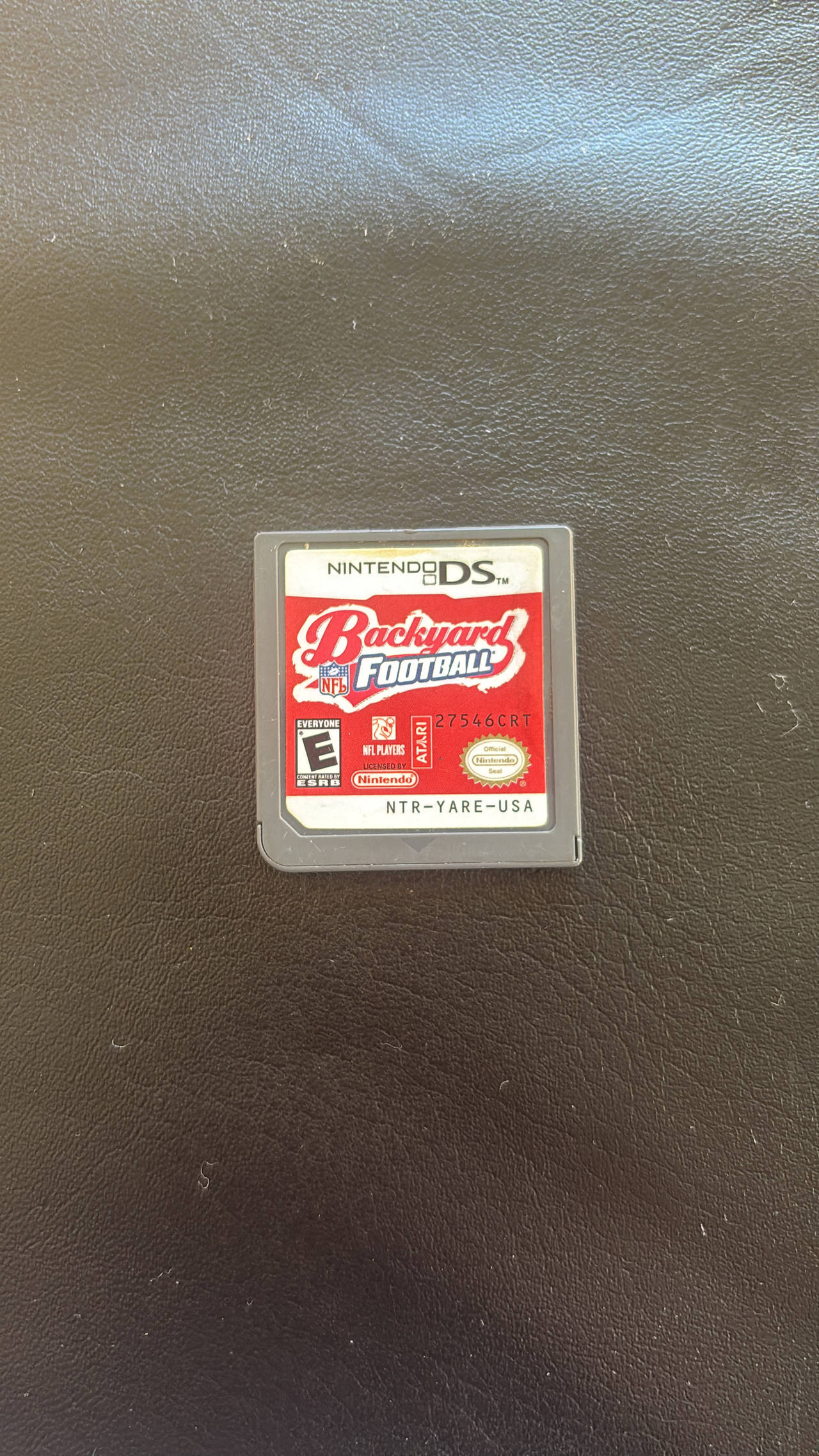 Backyard Football