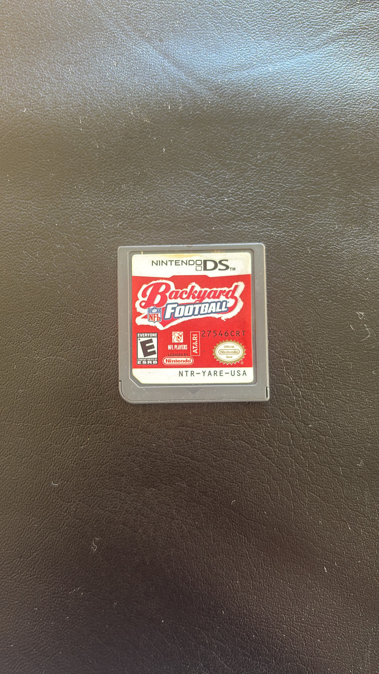 Backyard Football