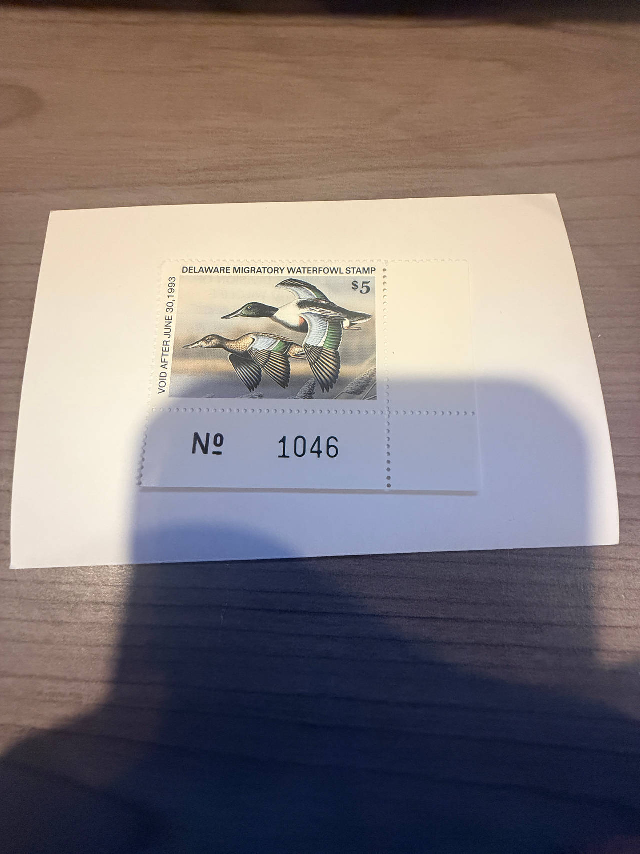 1992 Delaware Migratory Waterfowl Stamp $5 Shovelers