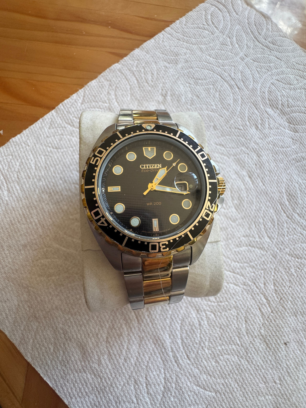 Citizen Eco-Drive Promaster Diver