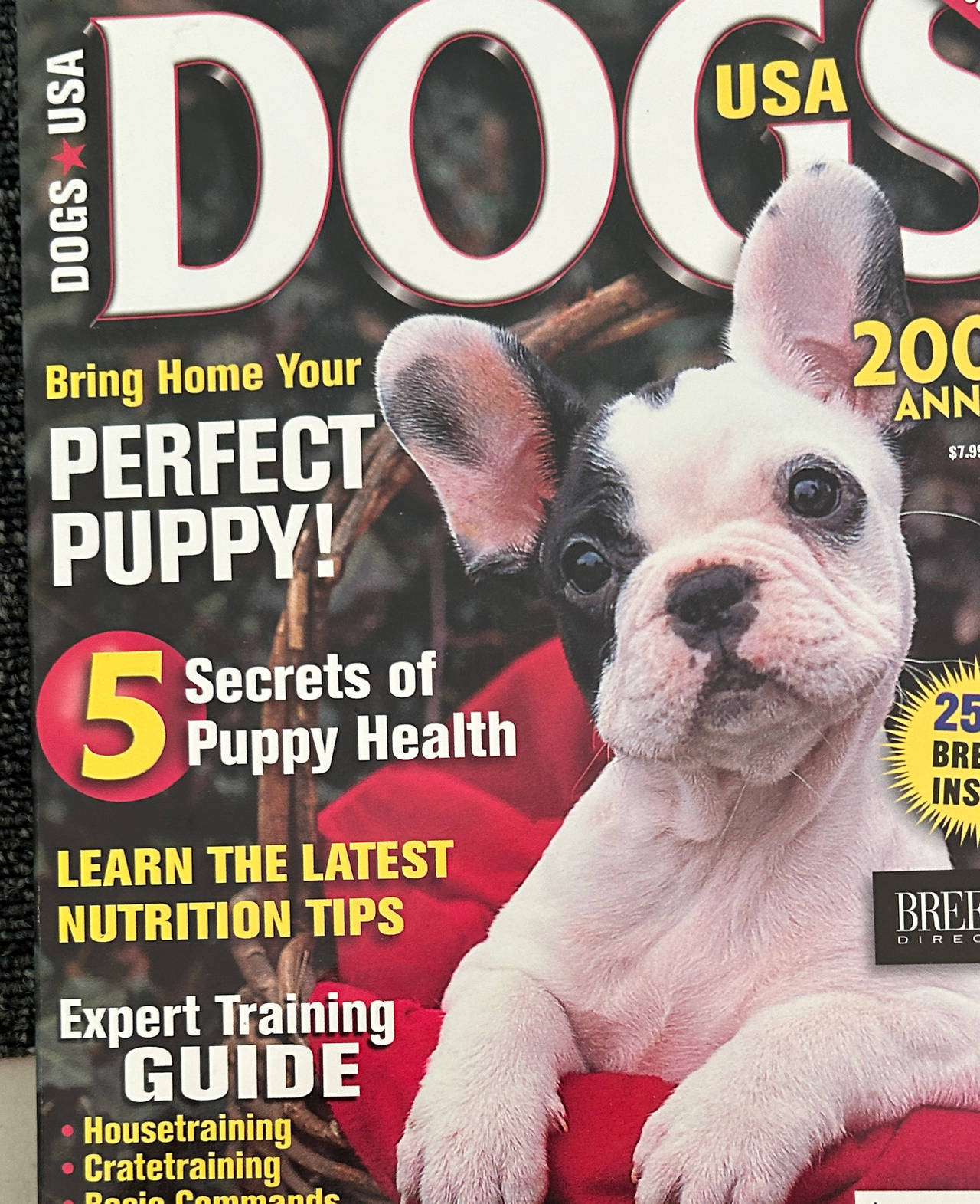 Dogs USA 2008 Annual Magazine
