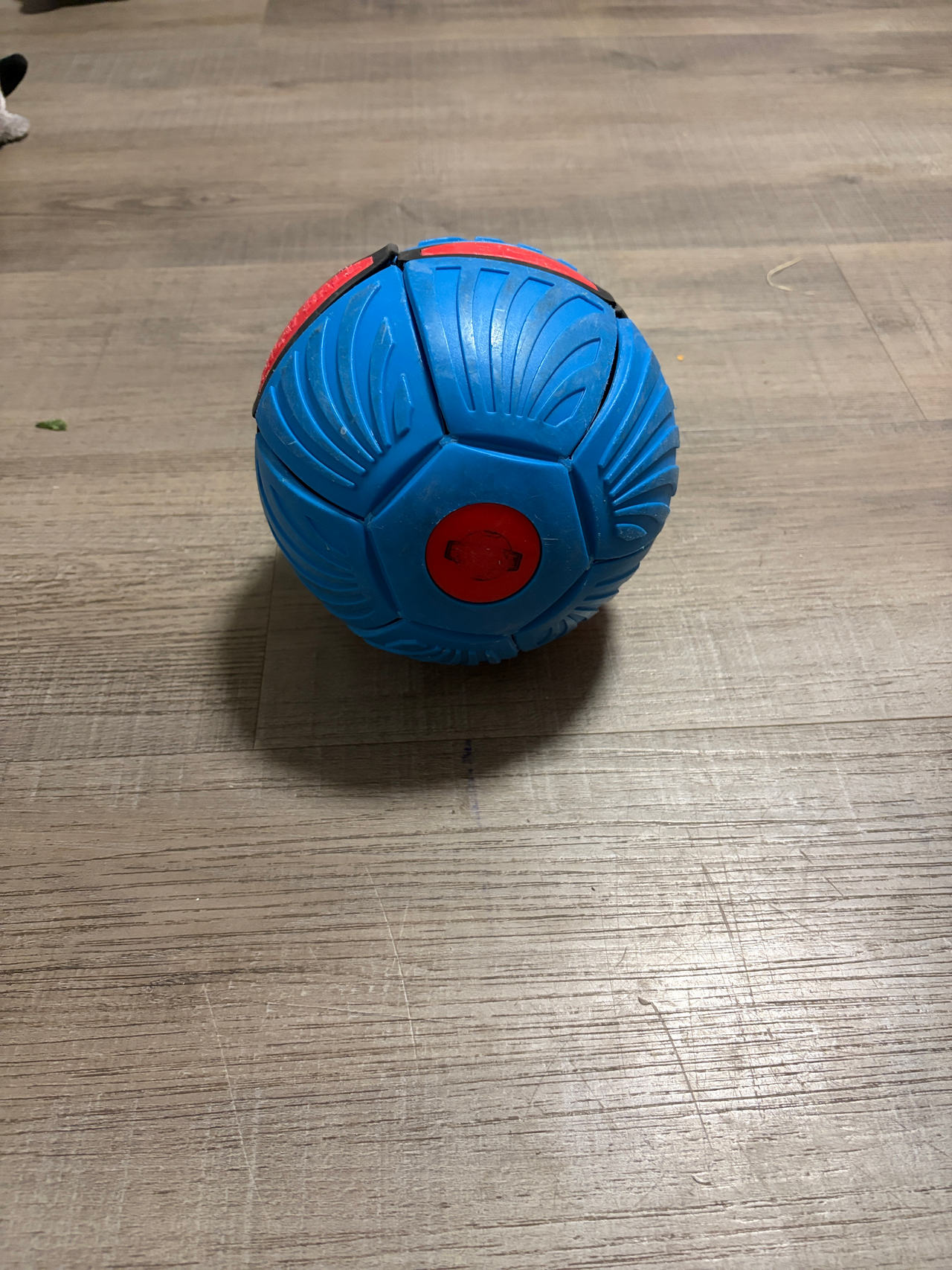 Phlat Ball V3 Blue/Red