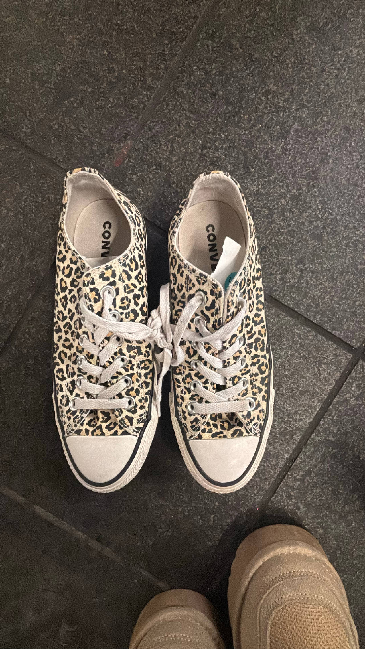 Converse Chuck Taylor All Star