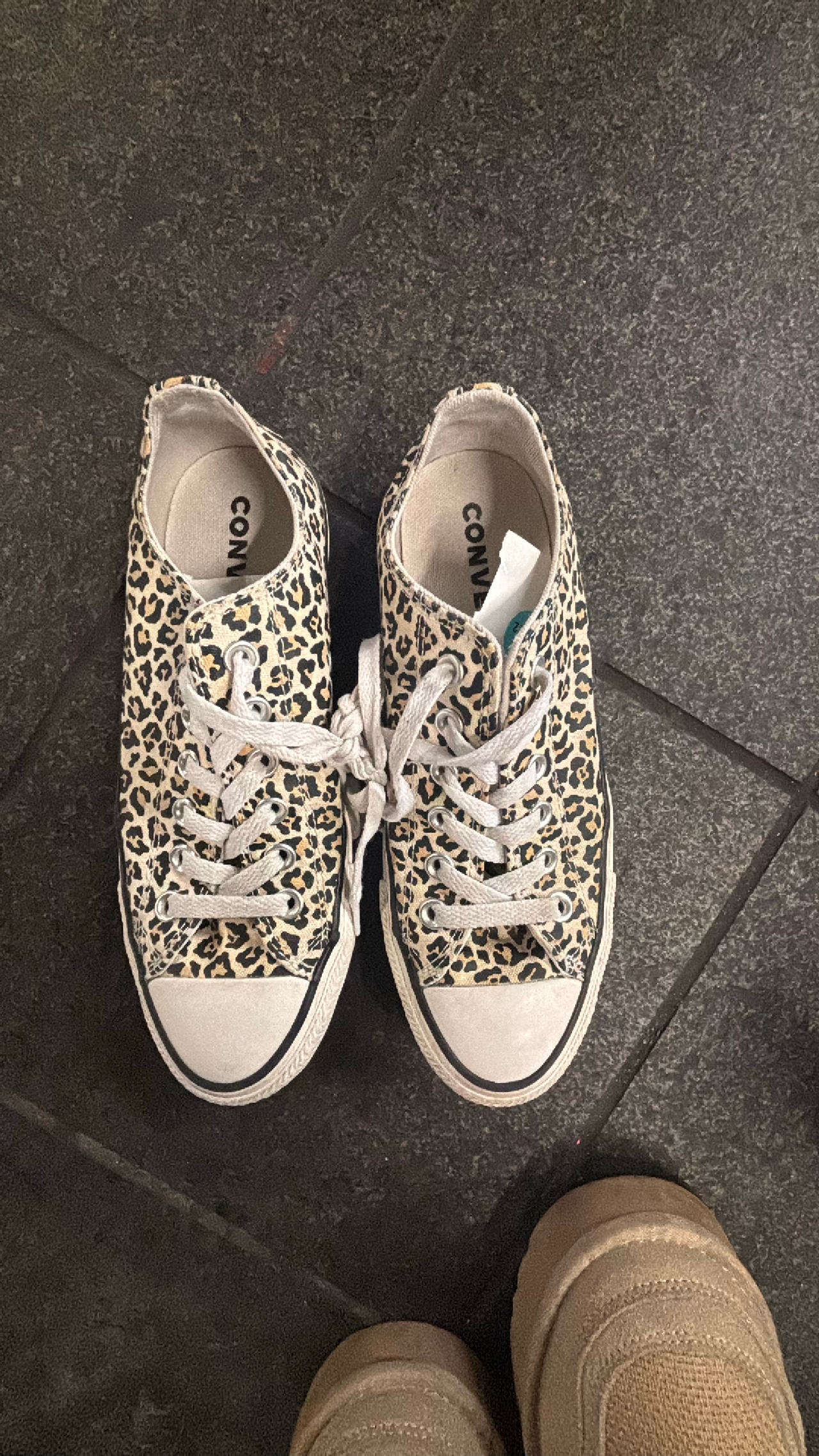 Converse Chuck Taylor All Star