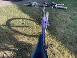 Roadmaster Mountain Bike - Image 2