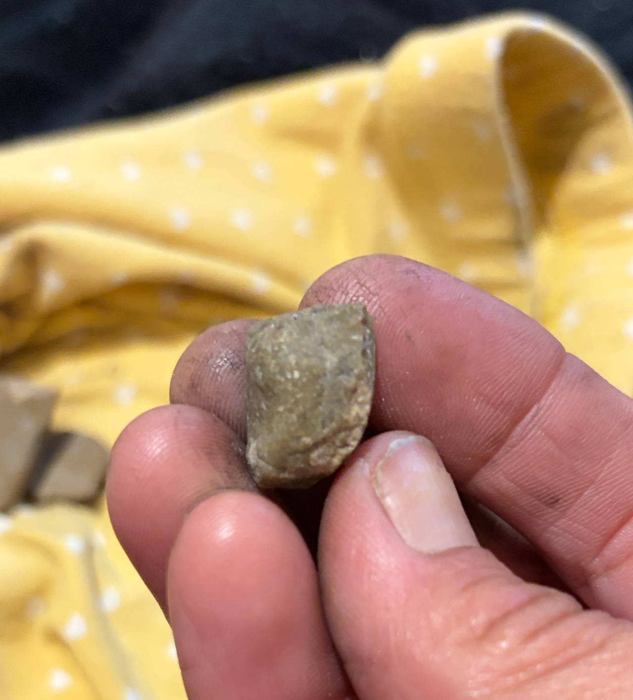 Indigenous Stone Tool Flake