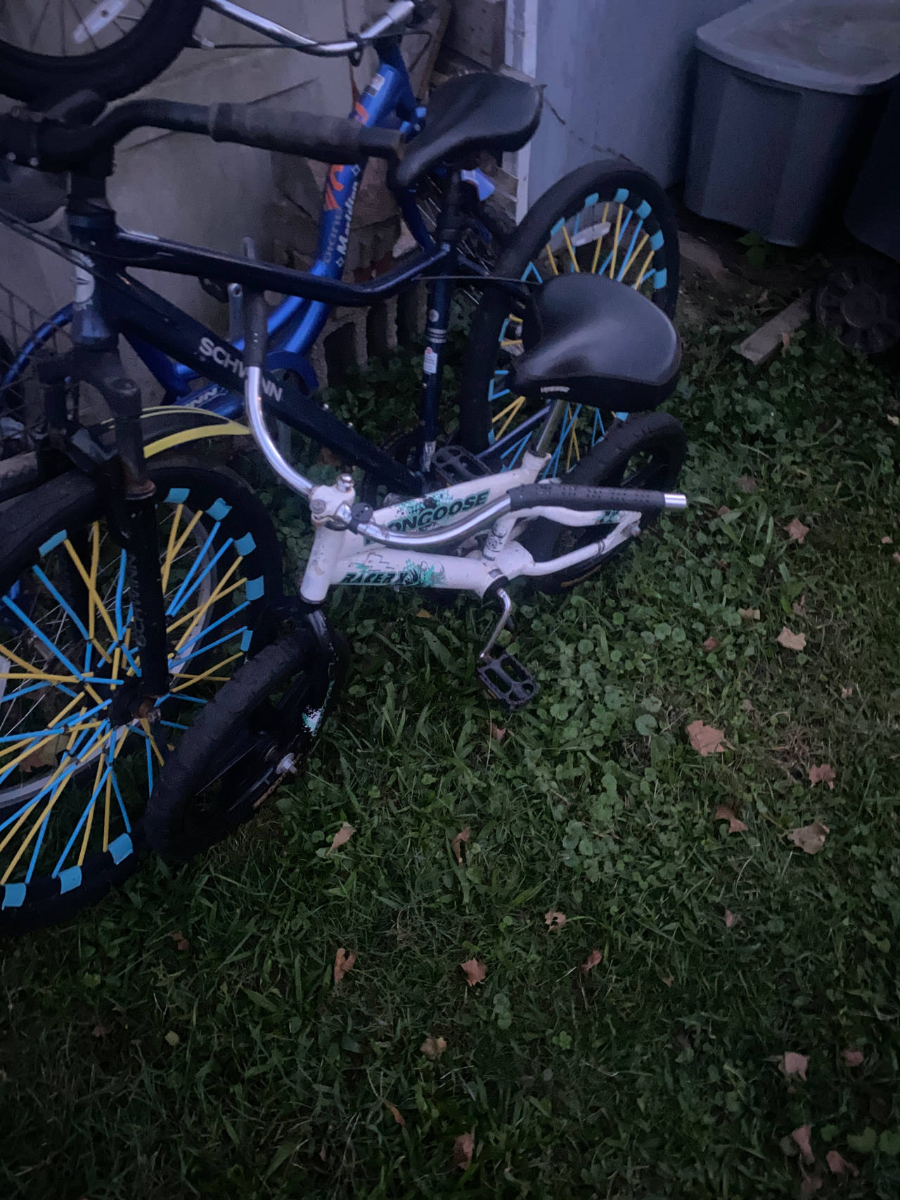 Mongoose BMX Bike