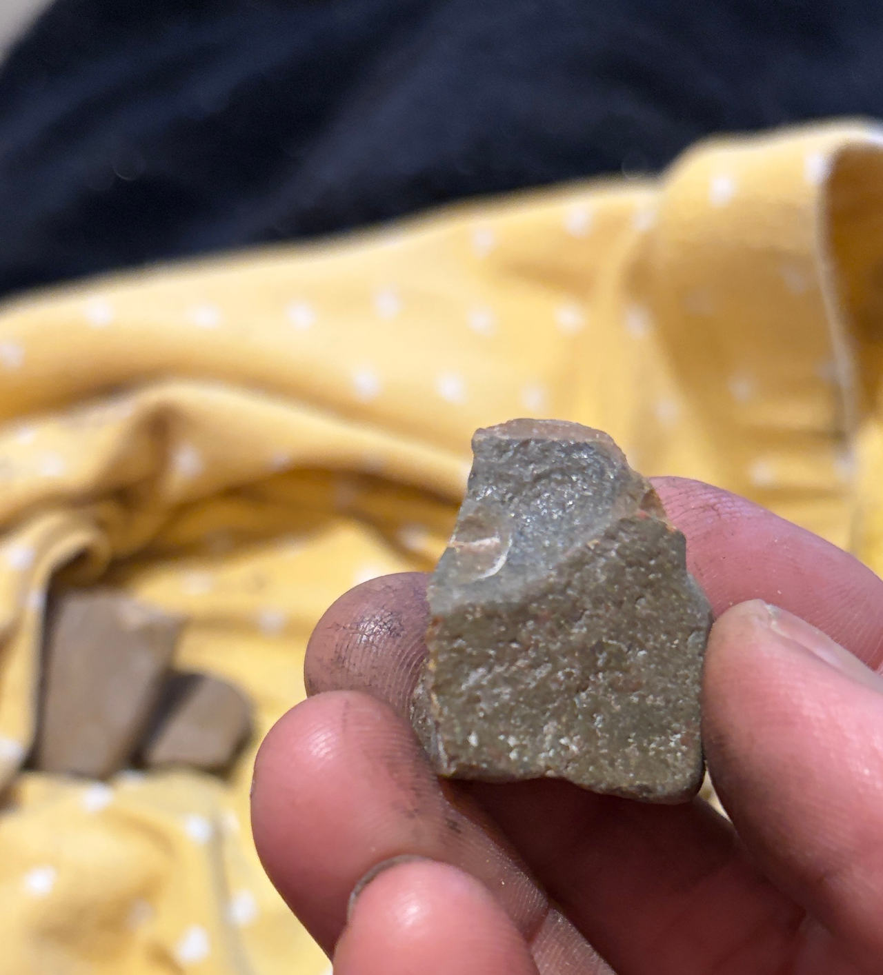 Native American Style Lithic Flake Artifact
