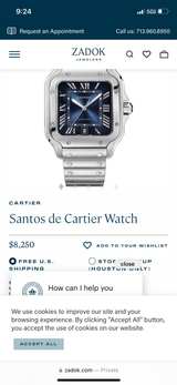 Cartier de Santos blue alligator  - Image 6