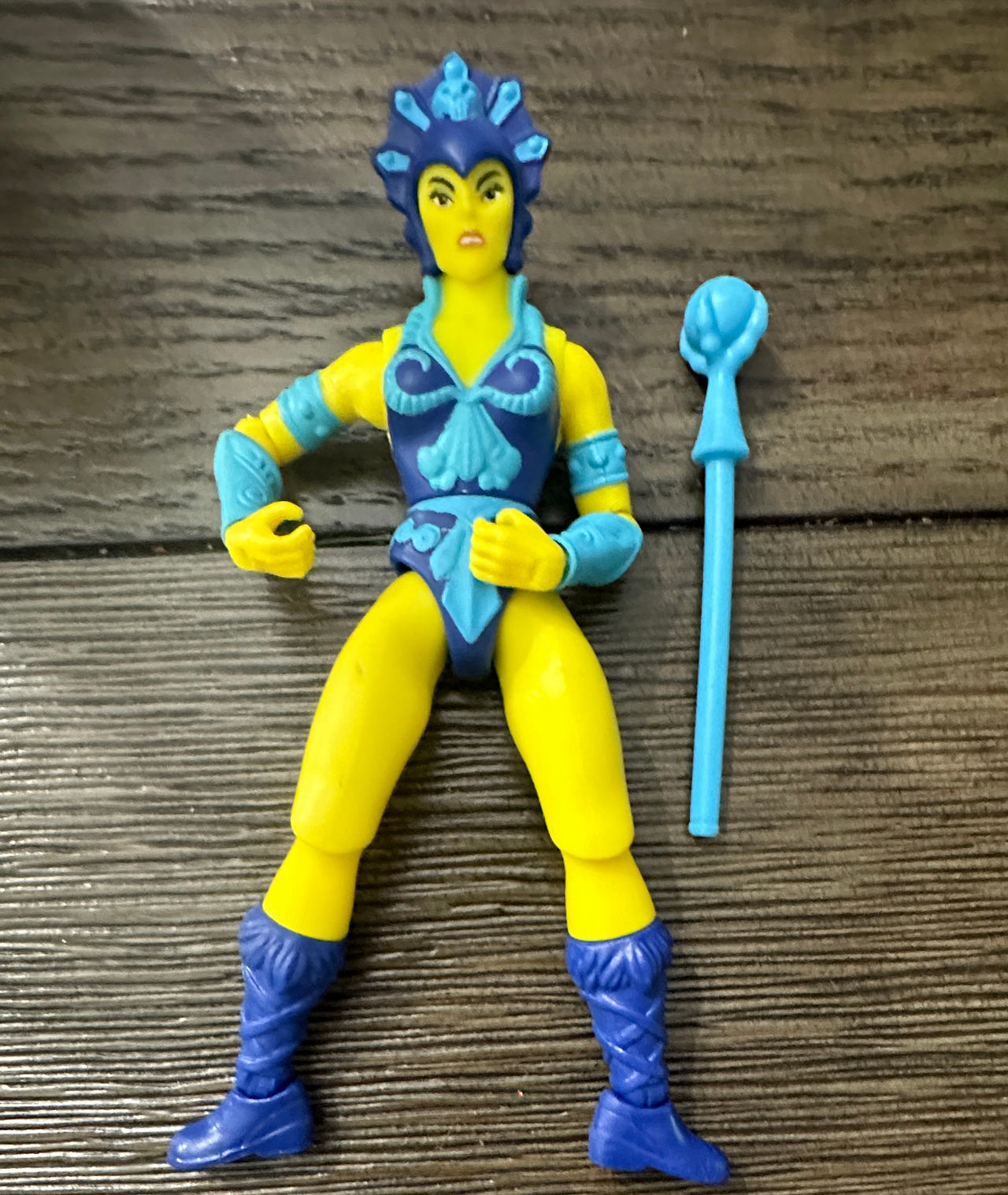 Masters of the Universe Evil-Lyn Action Figure