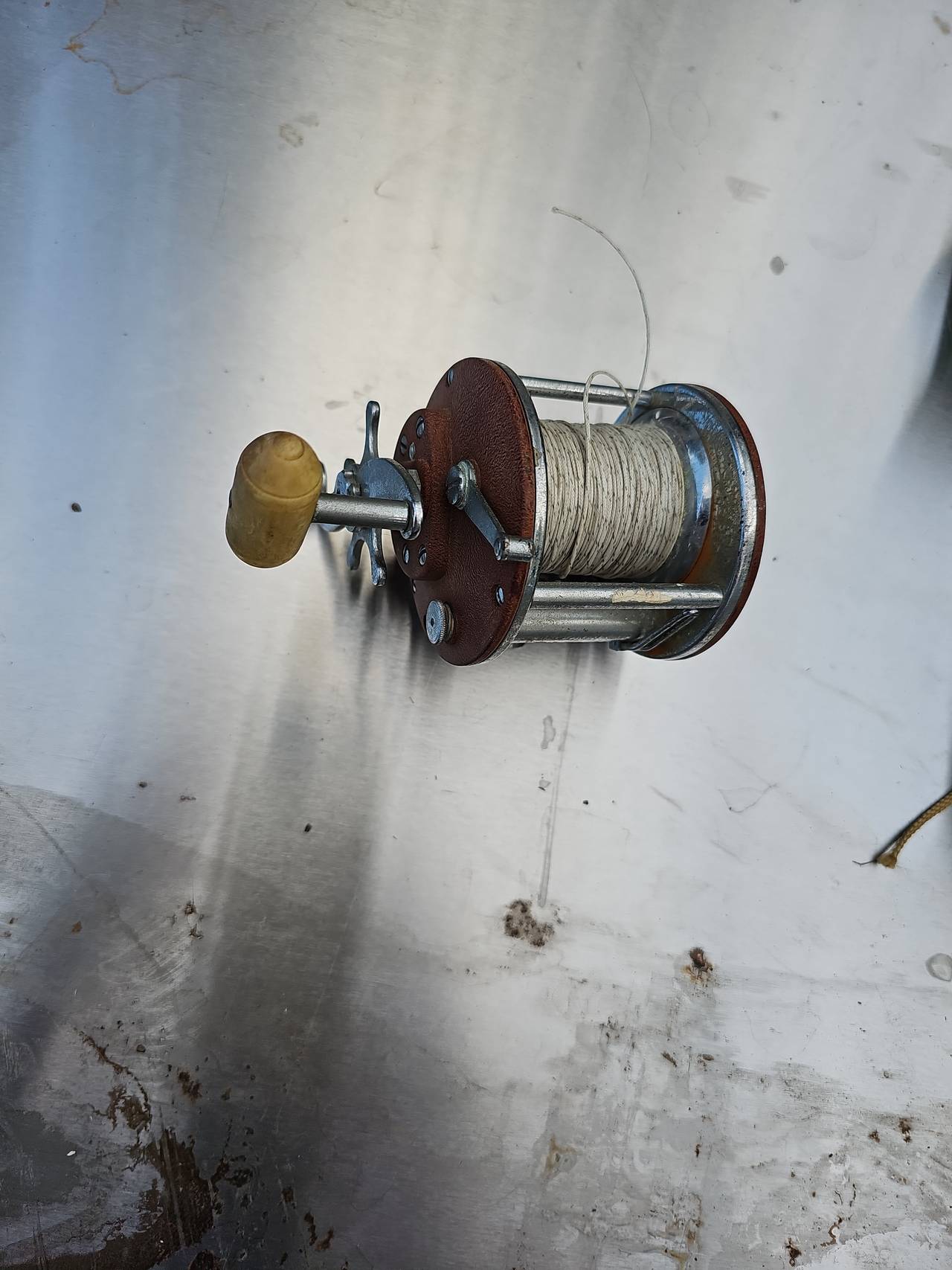 Penn Senator Conventional Fishing Reel