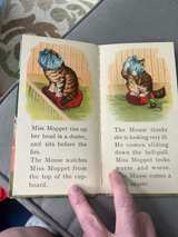 The Story of Miss Moppet - Image 3