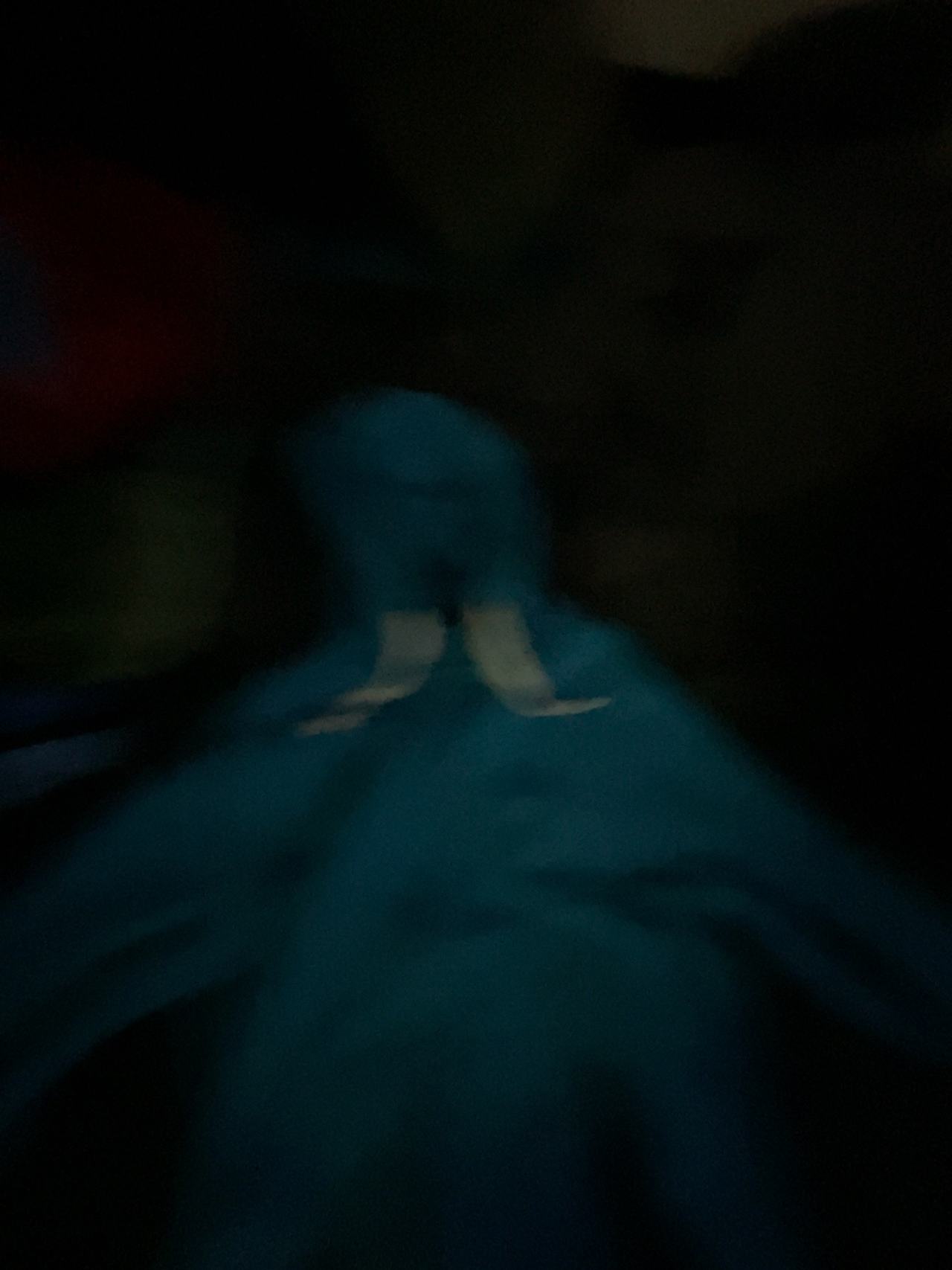 Polo Ralph Lauren Magic Fleece Full Zip Hoodie Blue