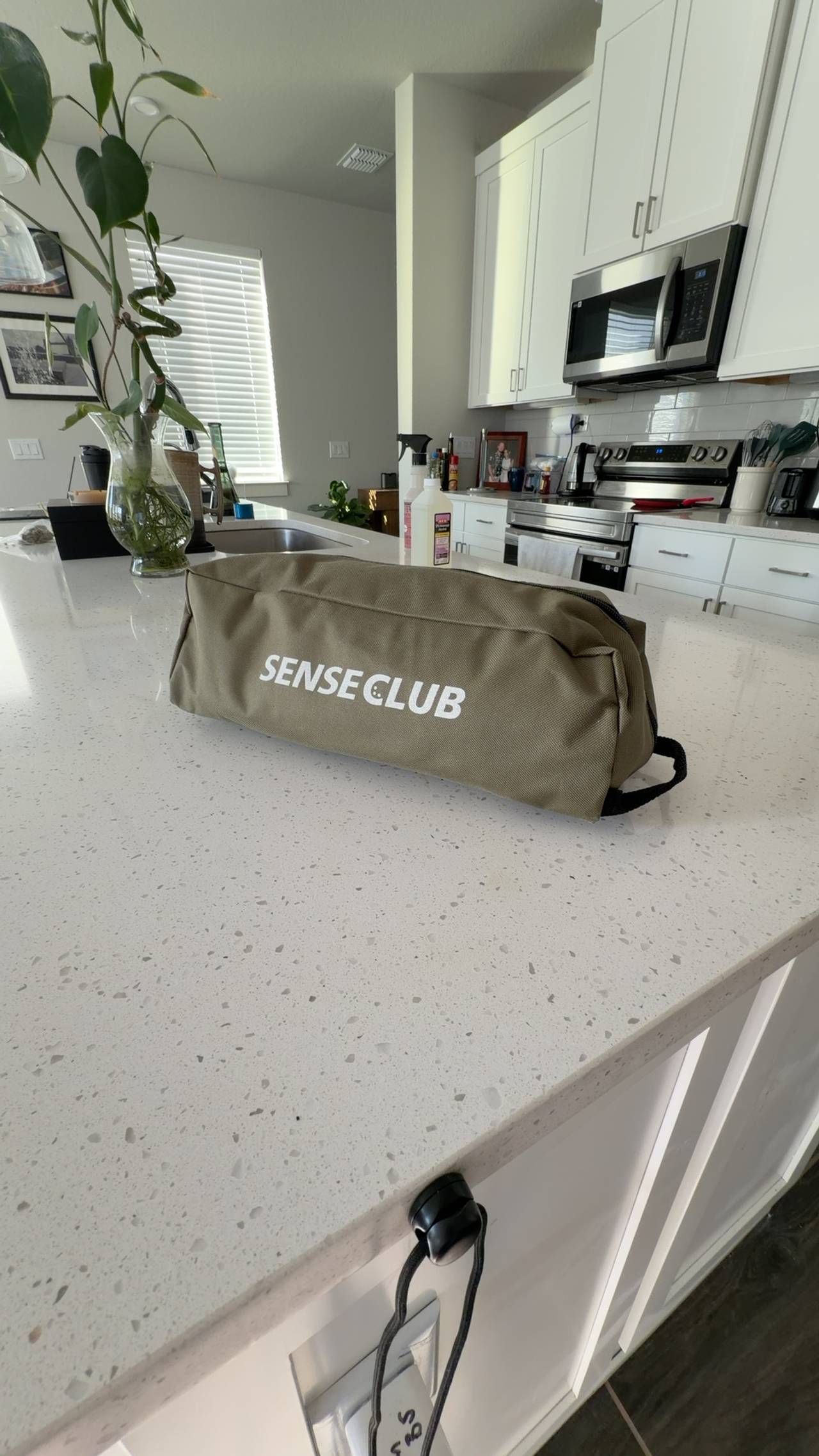 Sense Club Practice Chipping Net