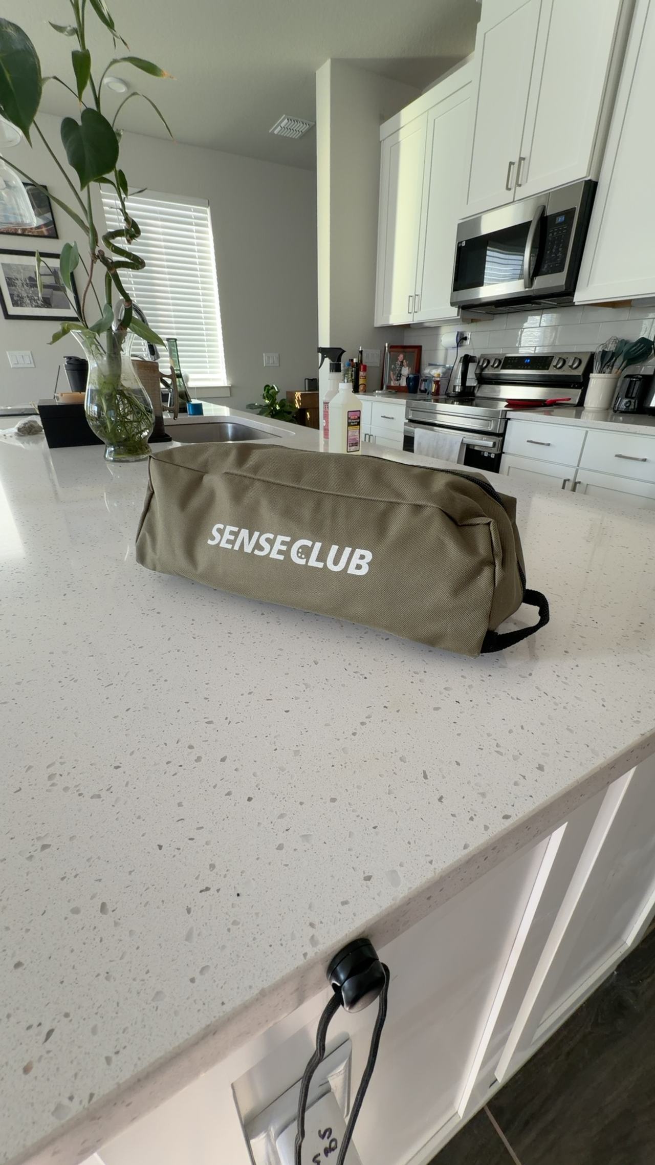 Sense Club Practice Chipping Net