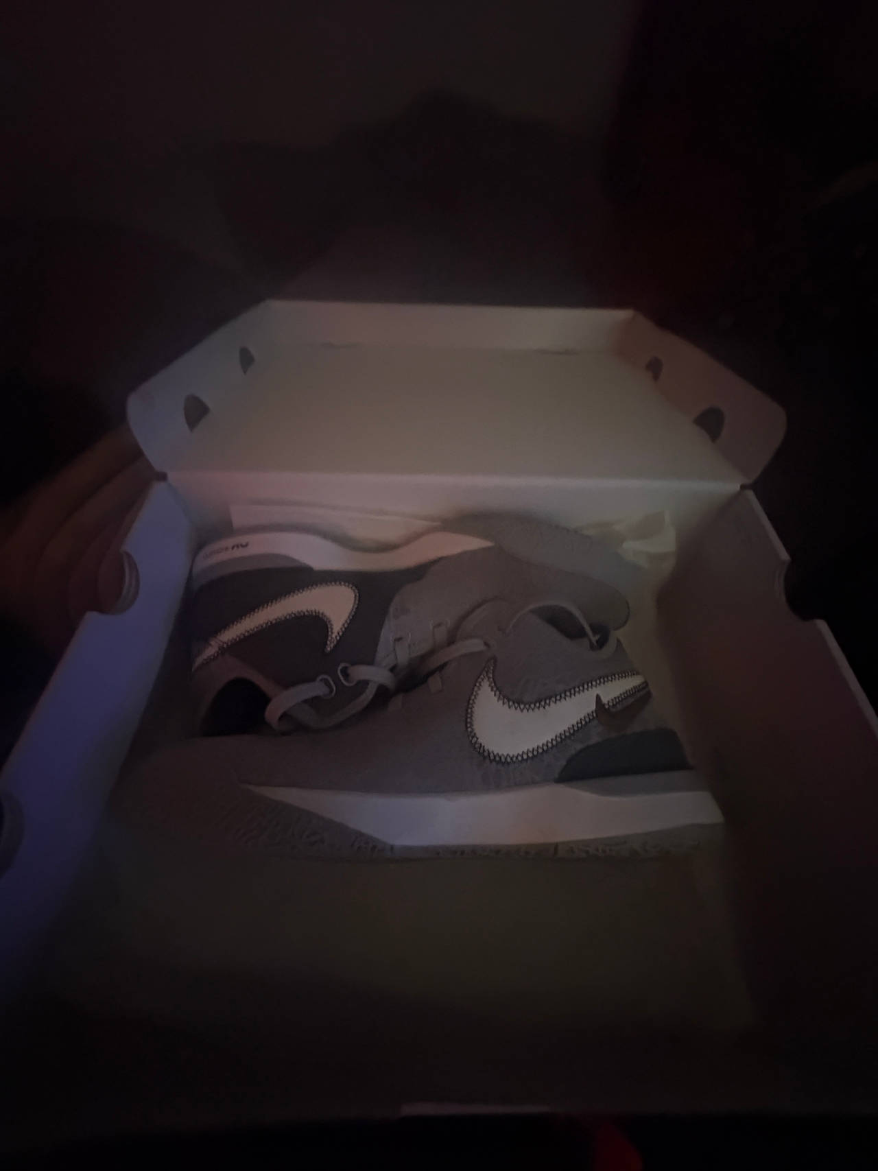 LeBron nxxt gen 
