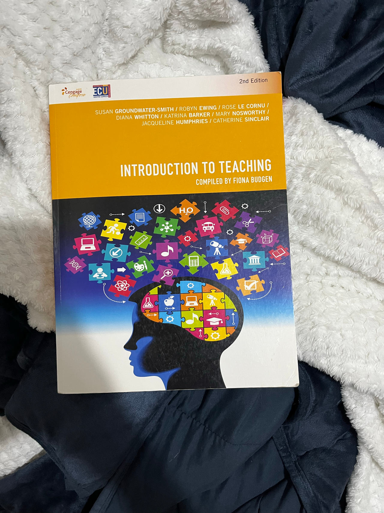 Introduction to Teaching 2nd Edition (Compiled by Fiona Budgen)