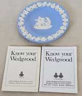 Wedgwood Jasperware Blue Small Plate with Grapevine Border - Image 3