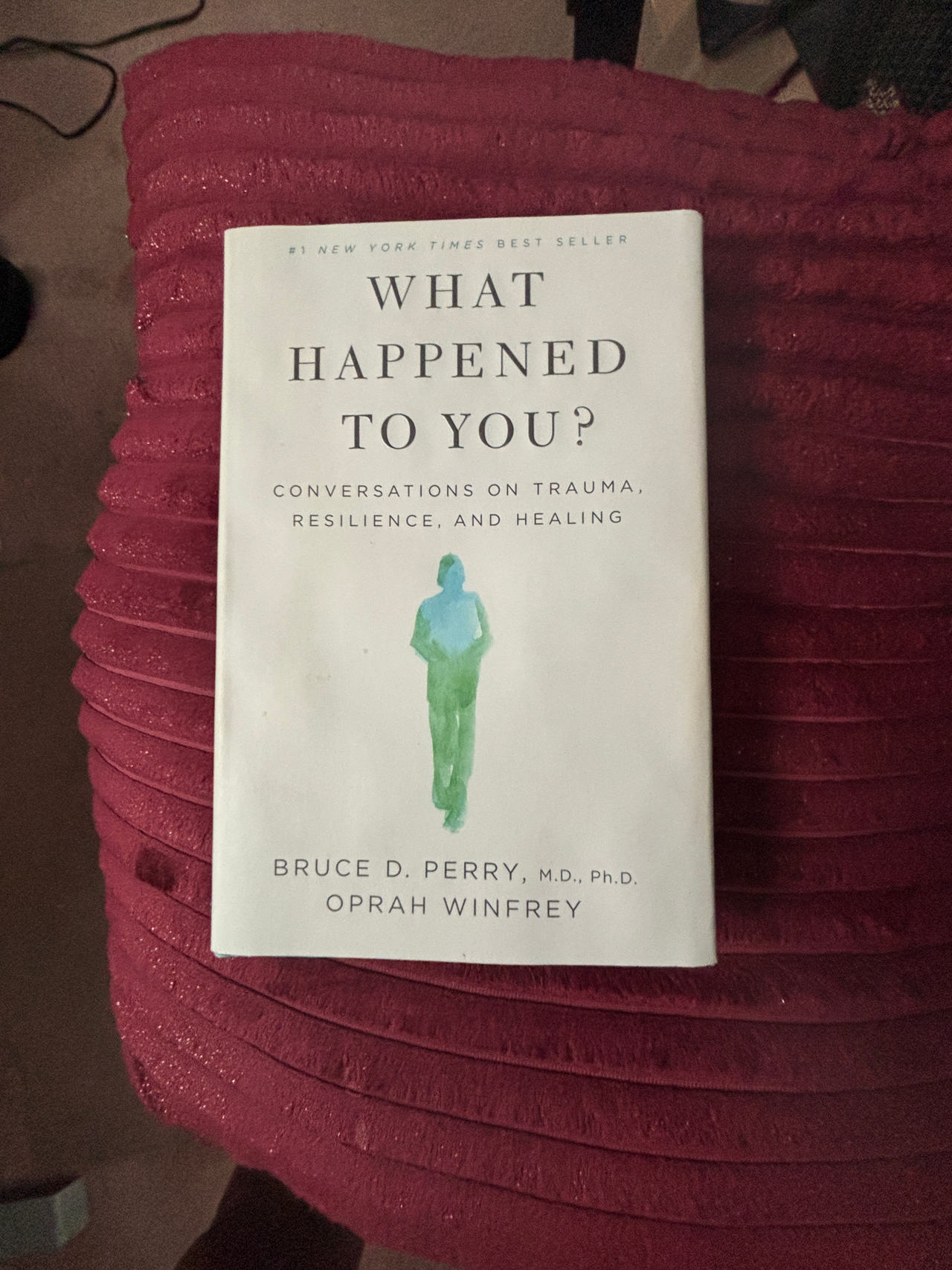 What Happened to You? Conversations on Trauma, Resilience, and Healing