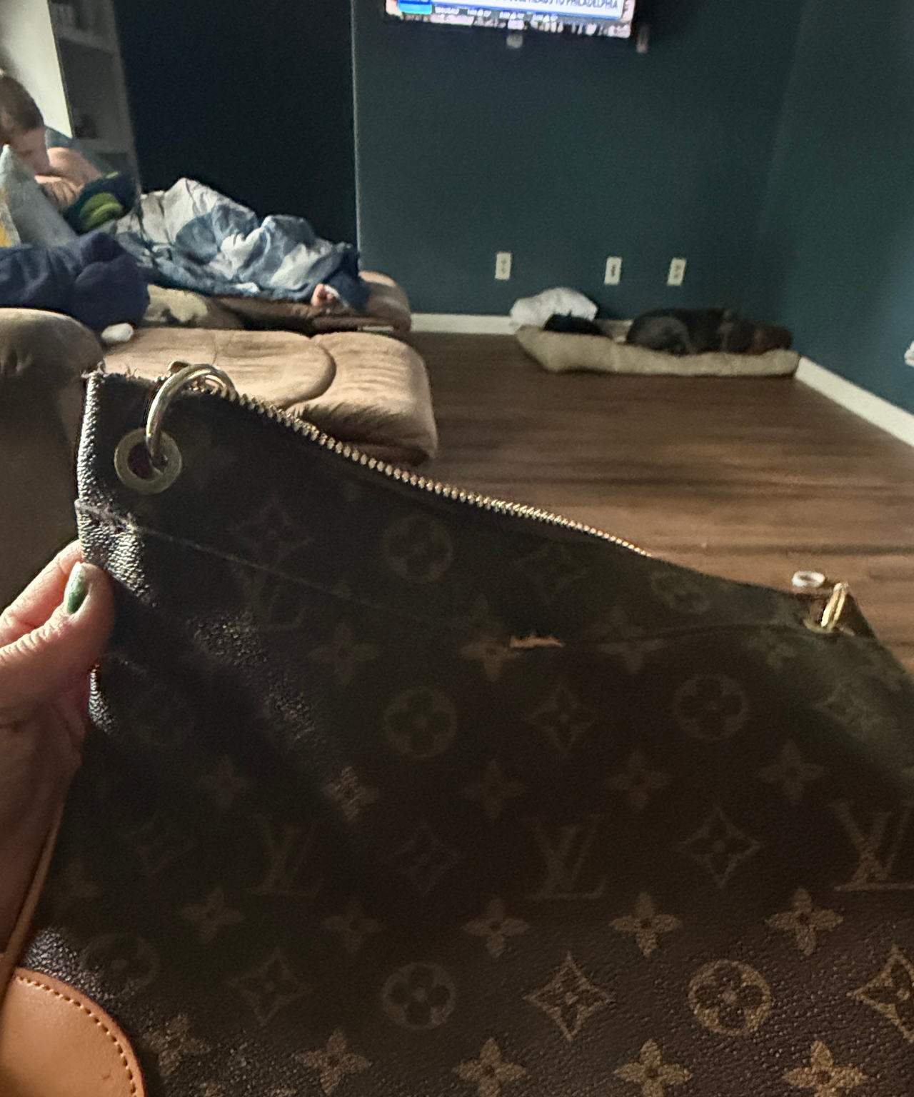 Louis Vuitton Monogram Odeon PM