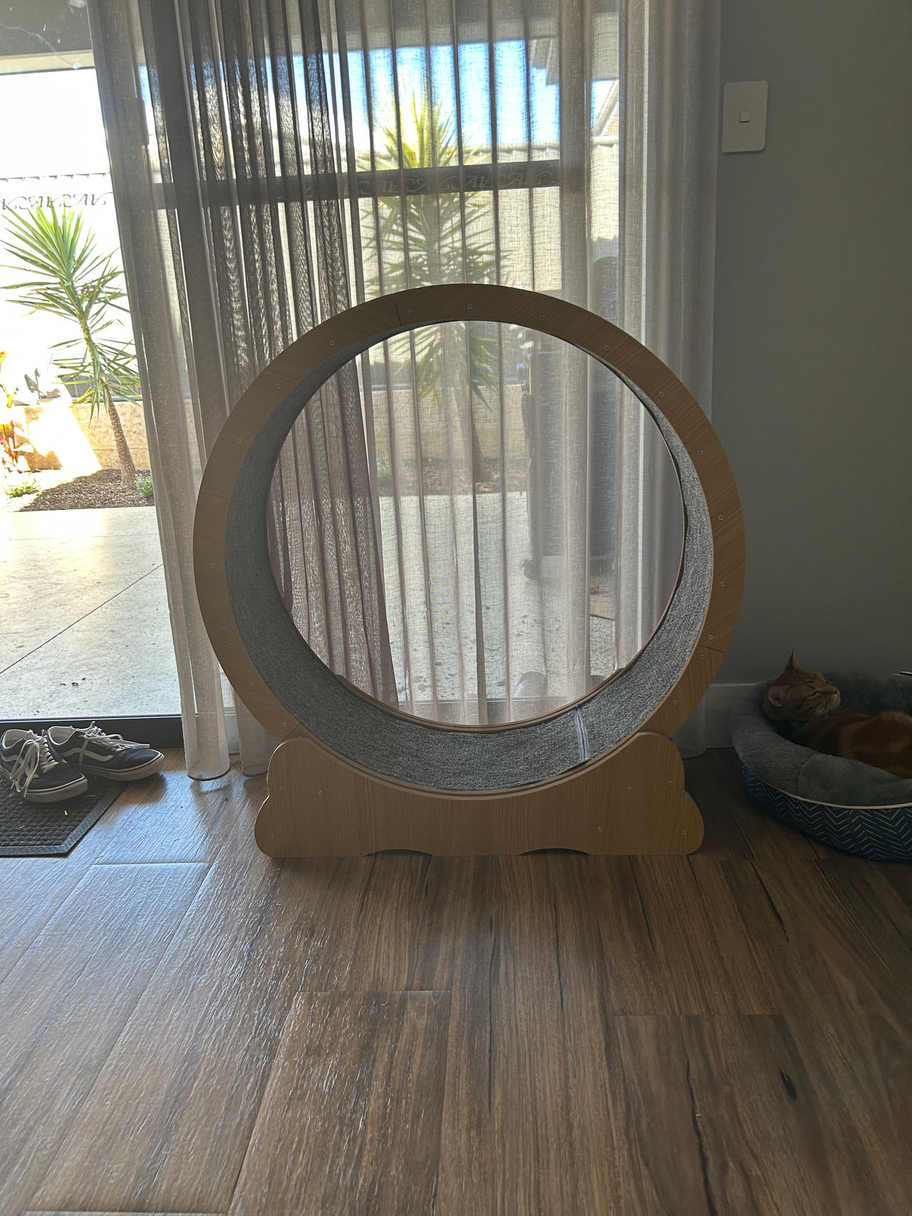 Wooden Cat Exercise Wheel