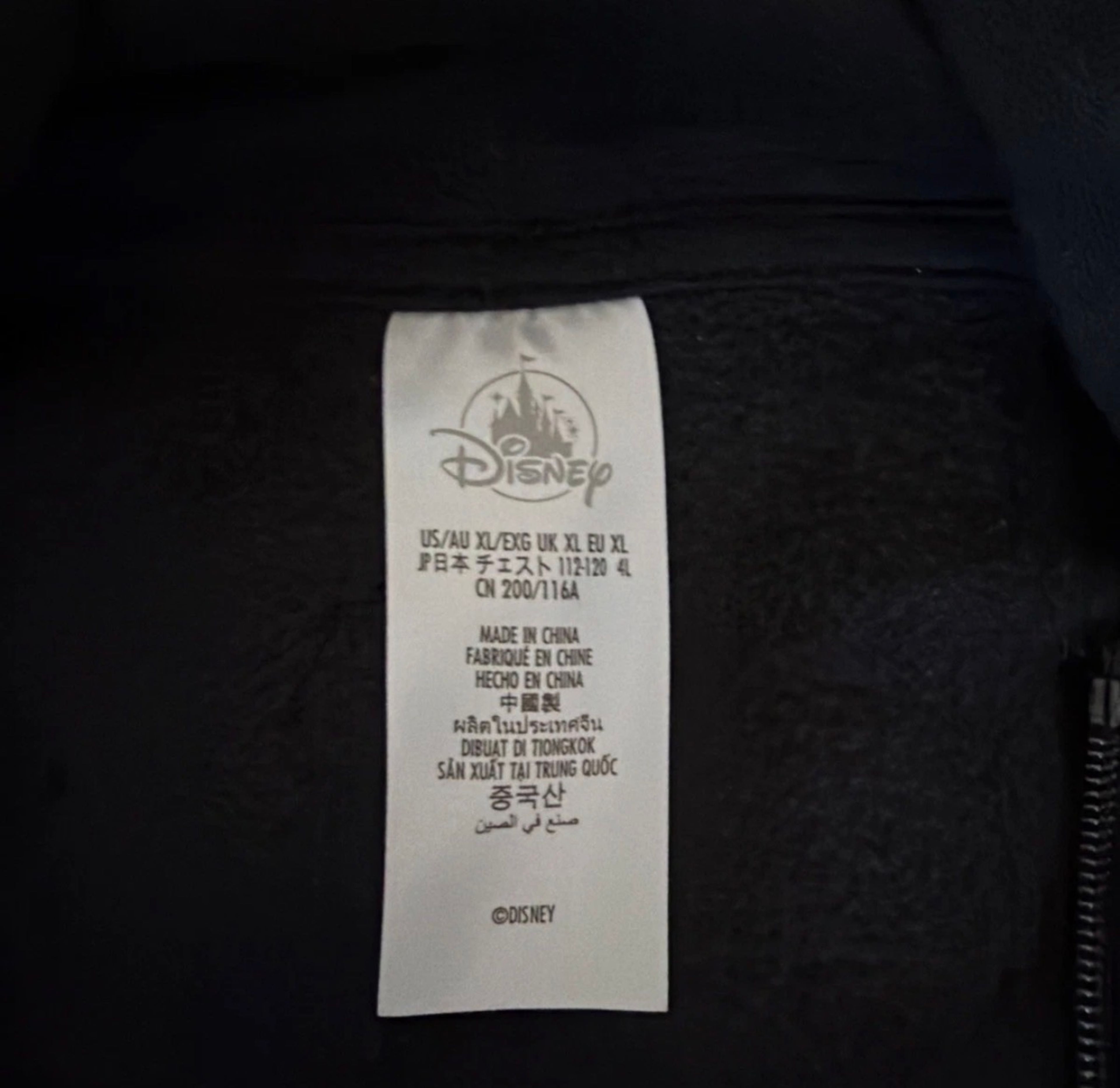 Walt Disney World Retro Logo Hoodie XL - Image 2