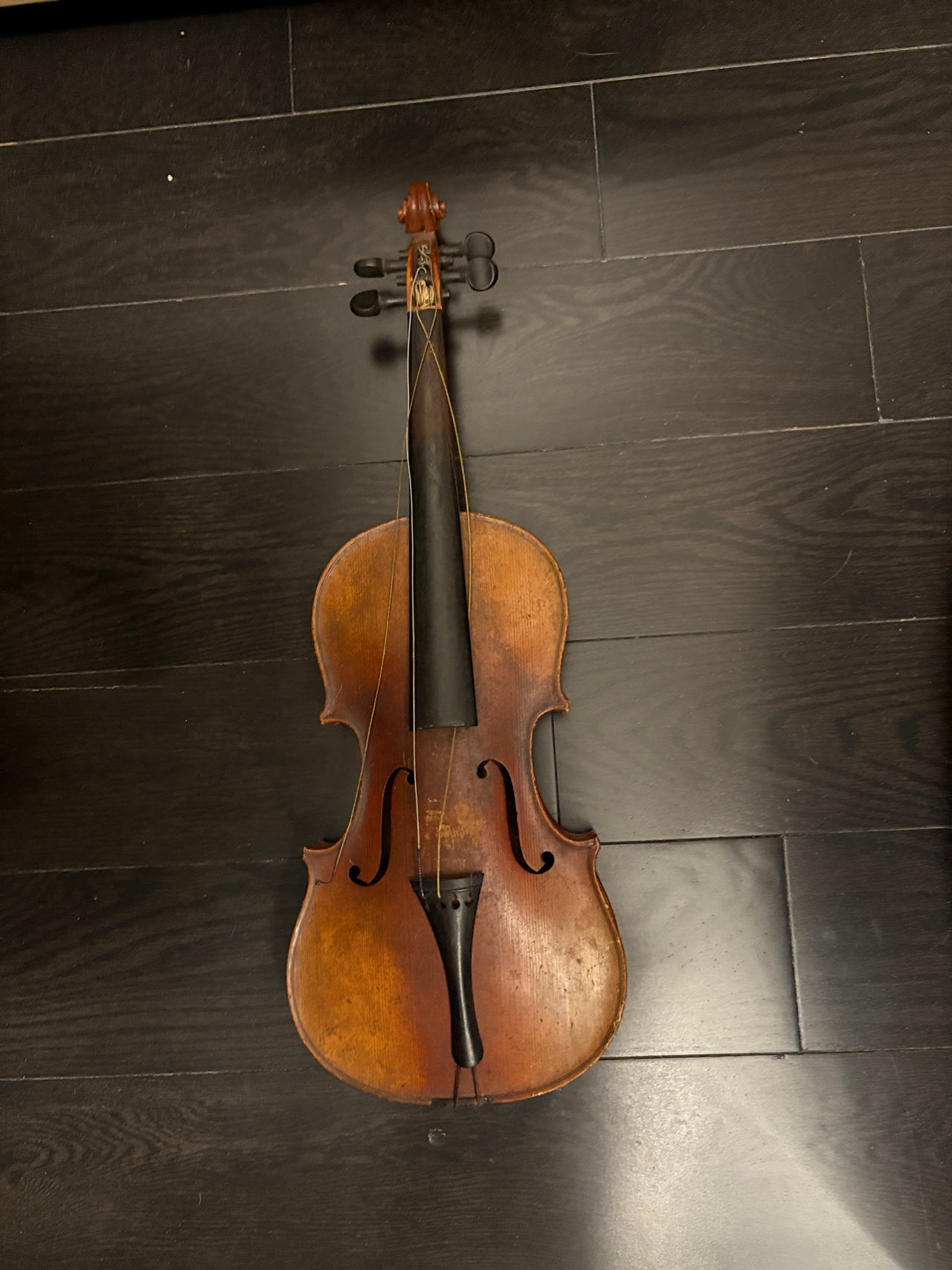 Violin
