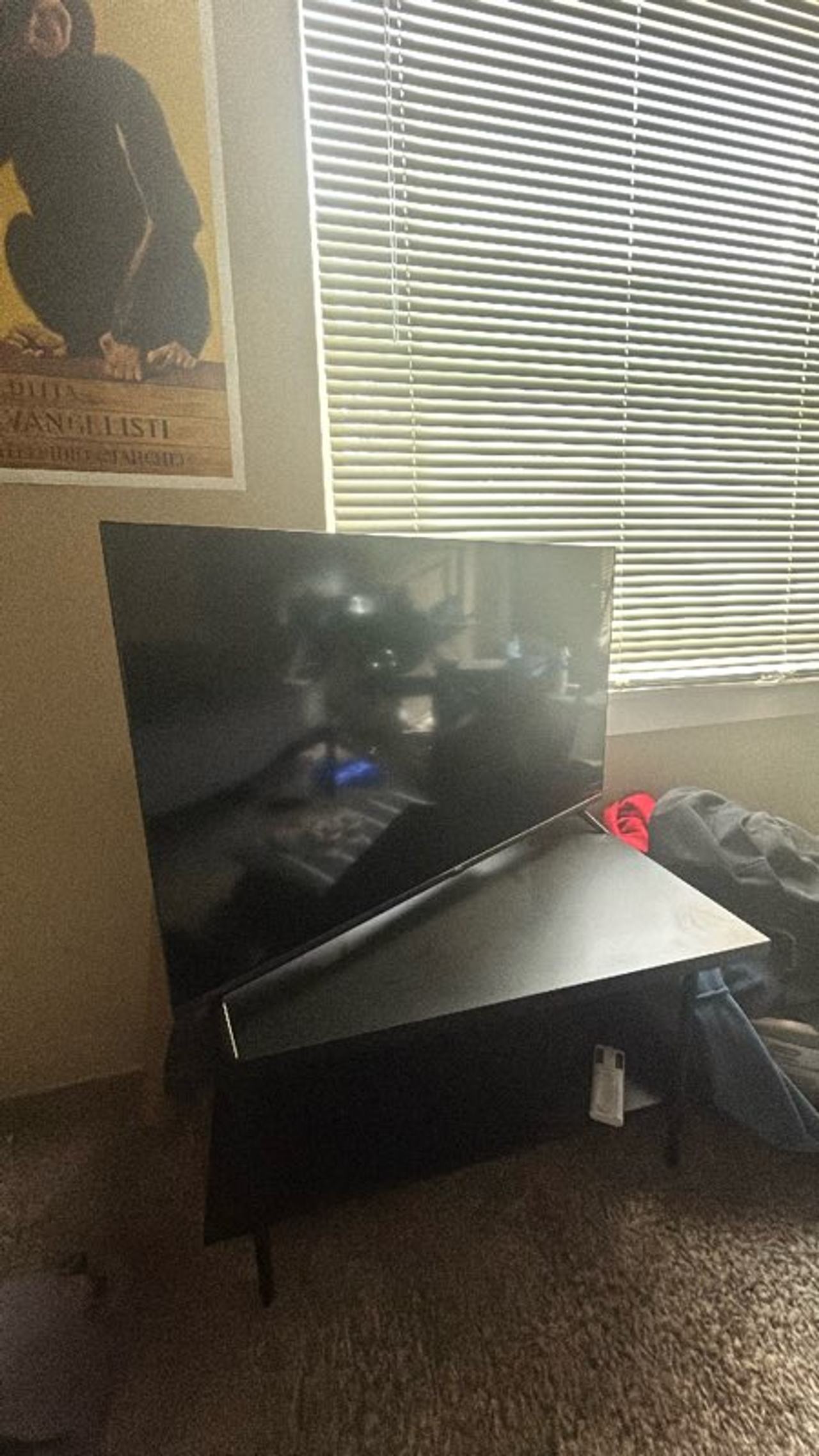 Flat Screen TV