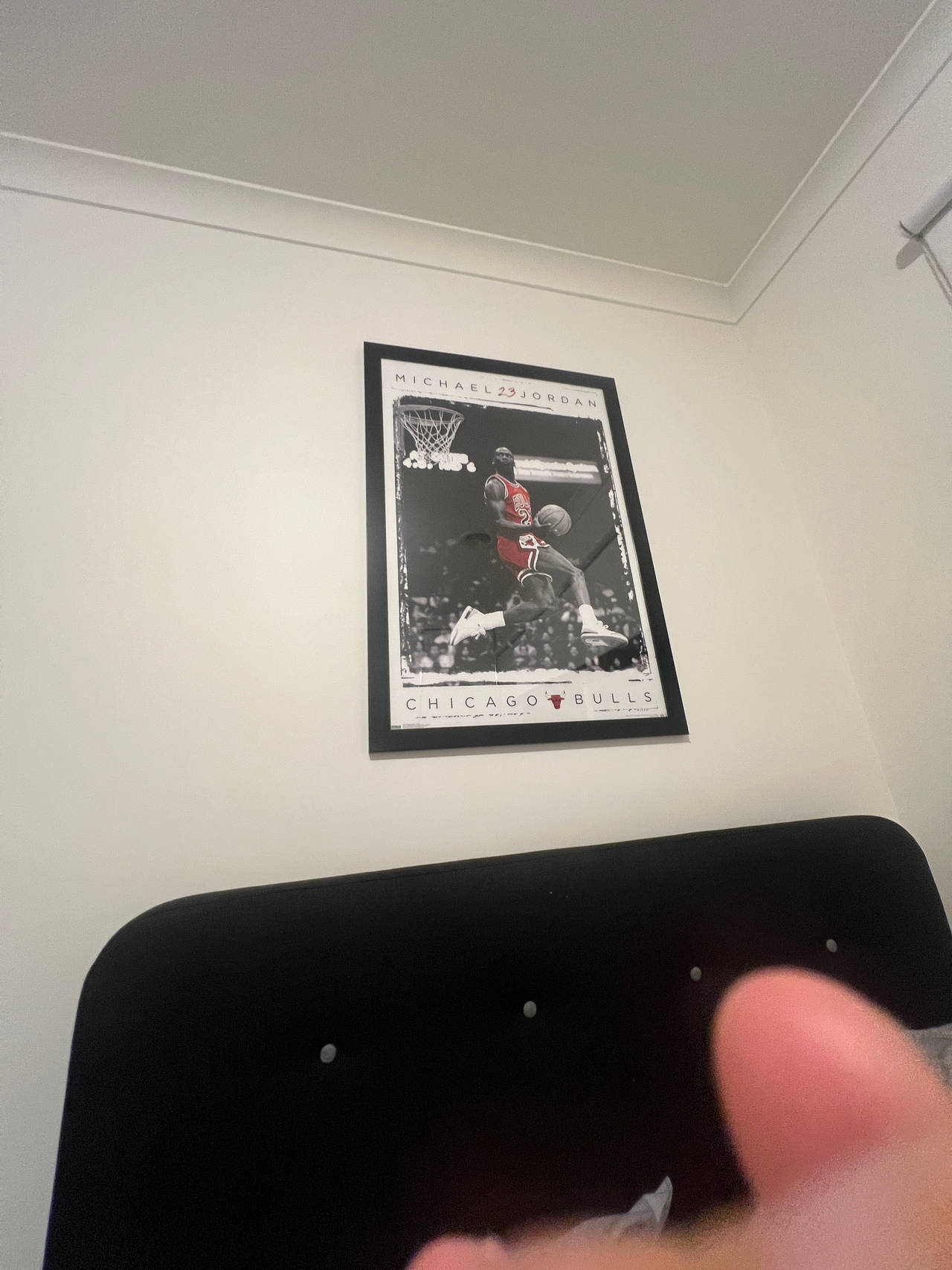 Michael Jordan Chicago Bulls Poster