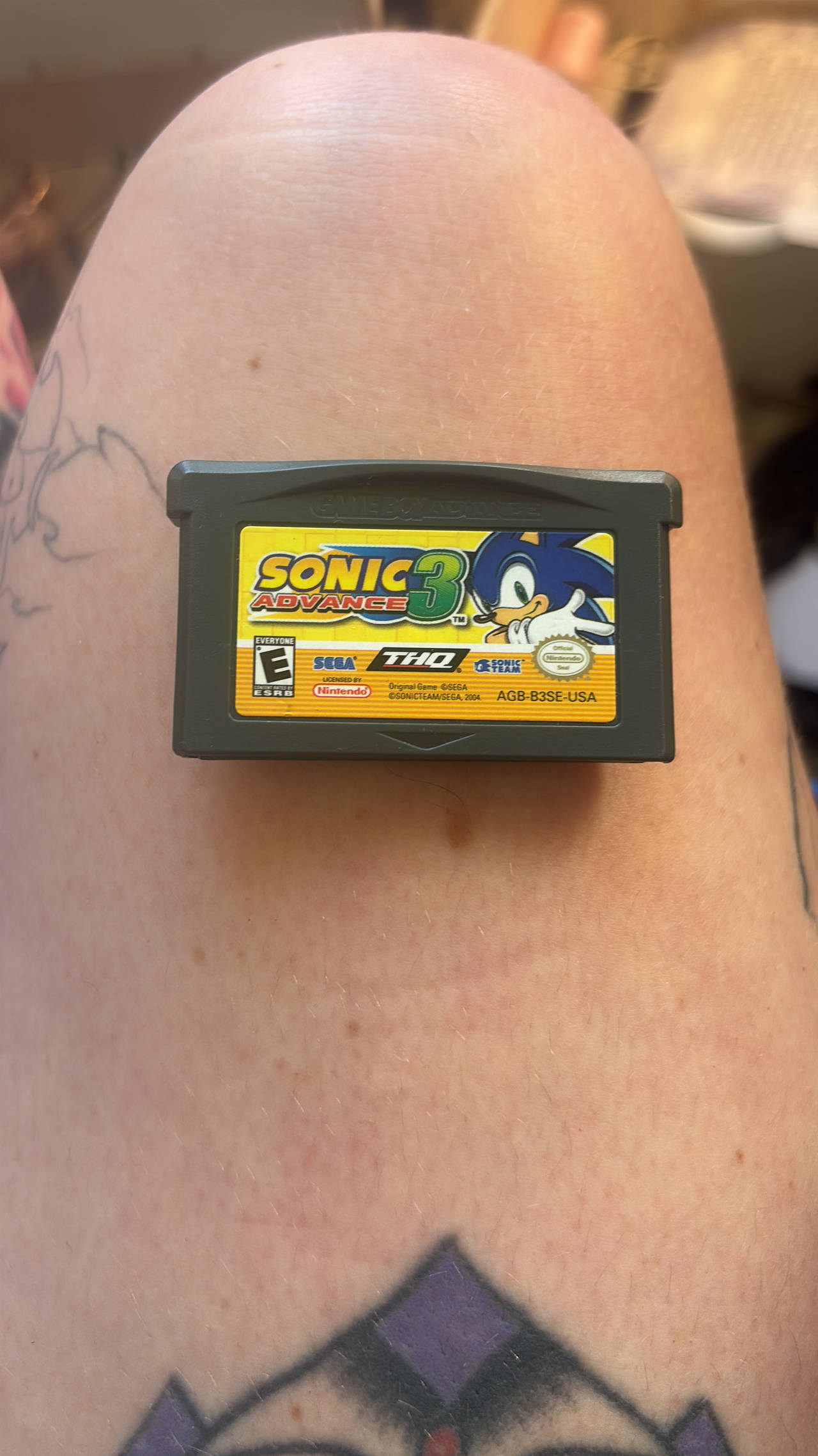 Sonic Advance 3