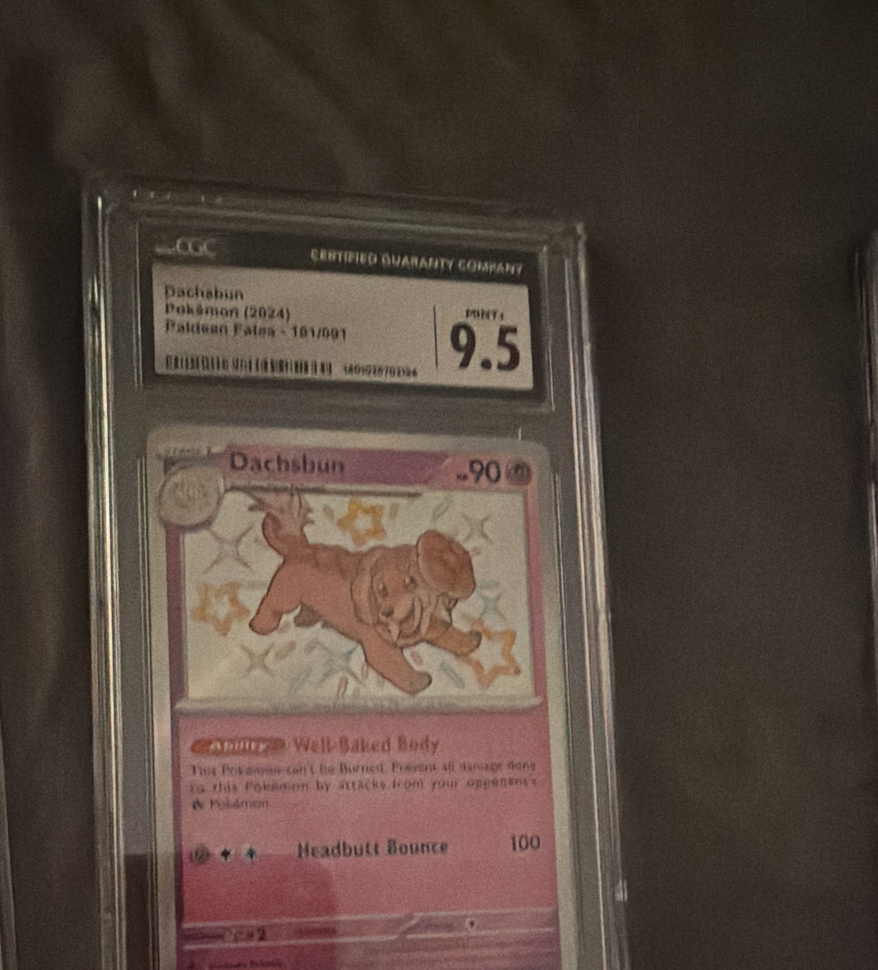 Pokémon TCG Dachsbun Paldean Fates 161/091 CGC 9.5
