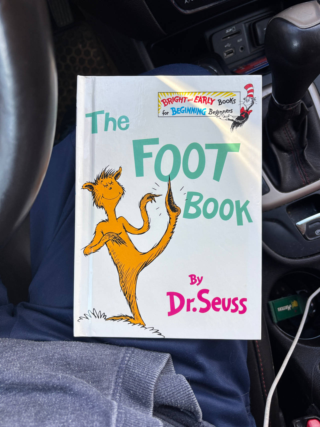 The Foot Book