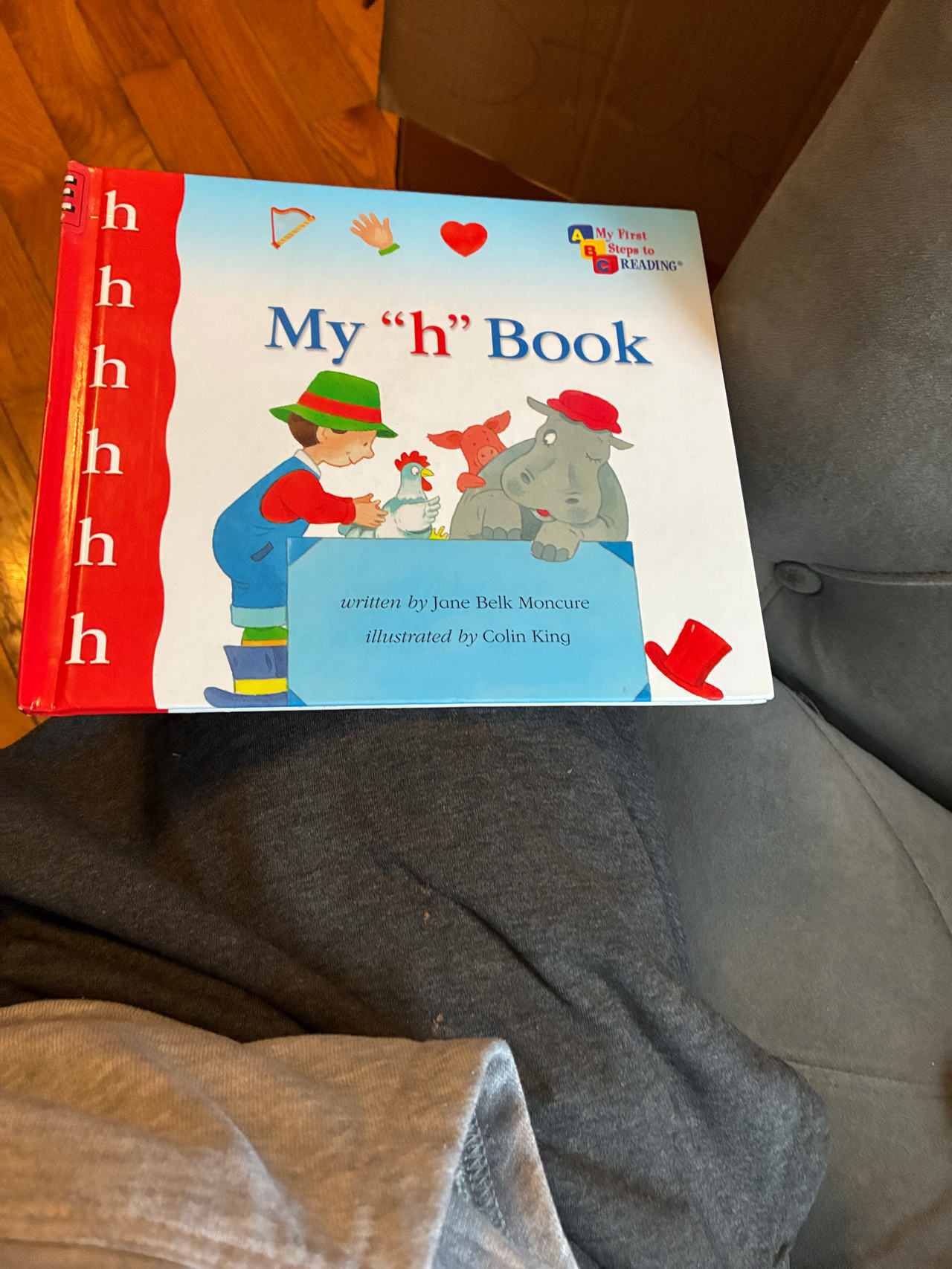 My "h" Book (My First Steps to Reading)