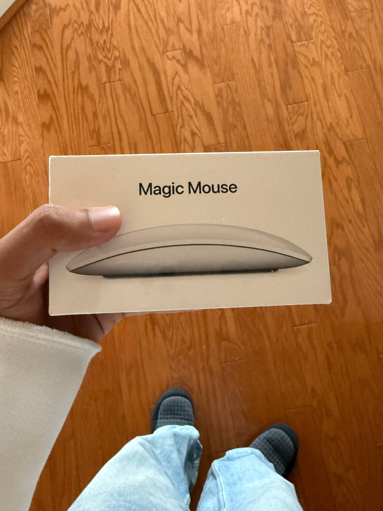 Apple Magic Mouse